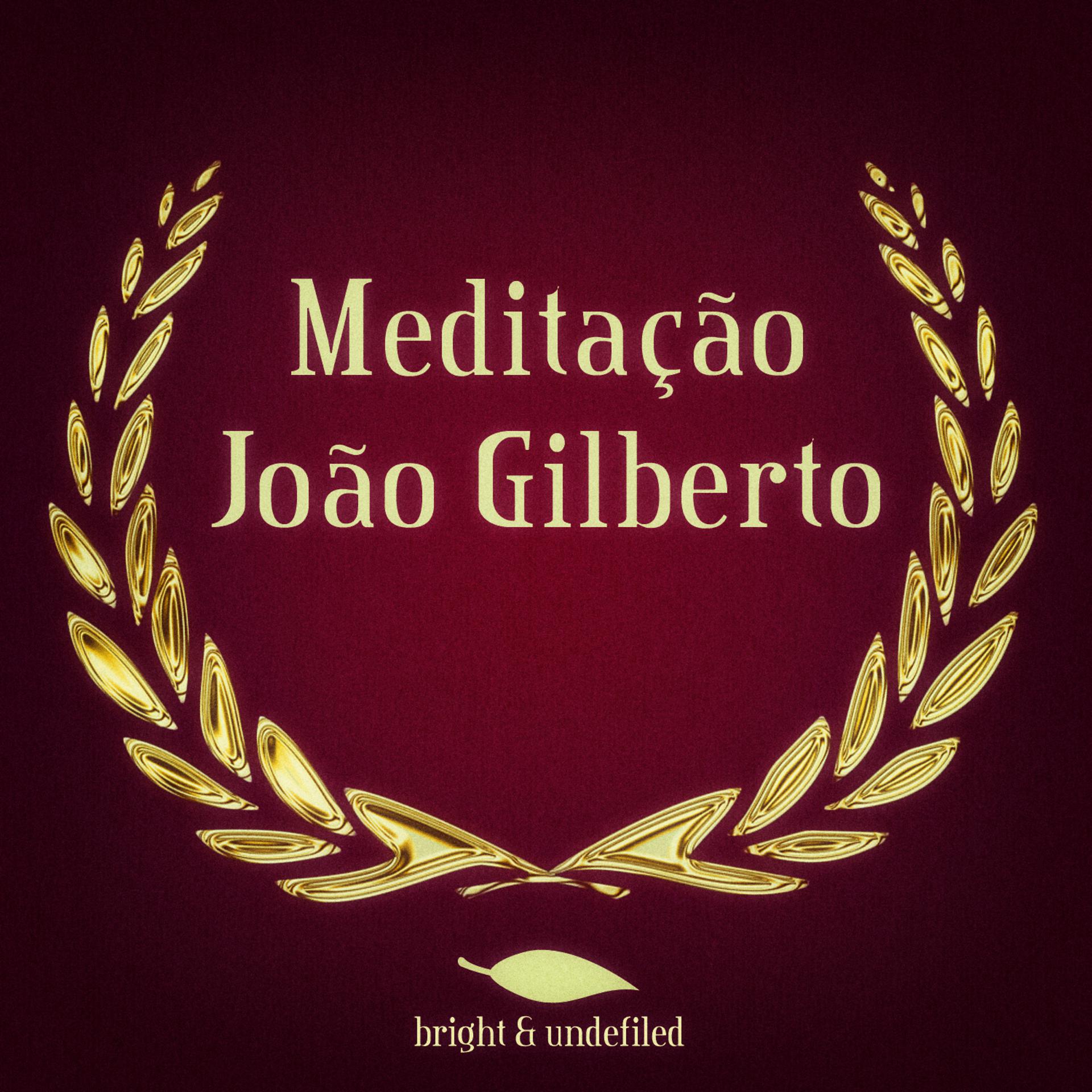 Постер альбома Meditação
