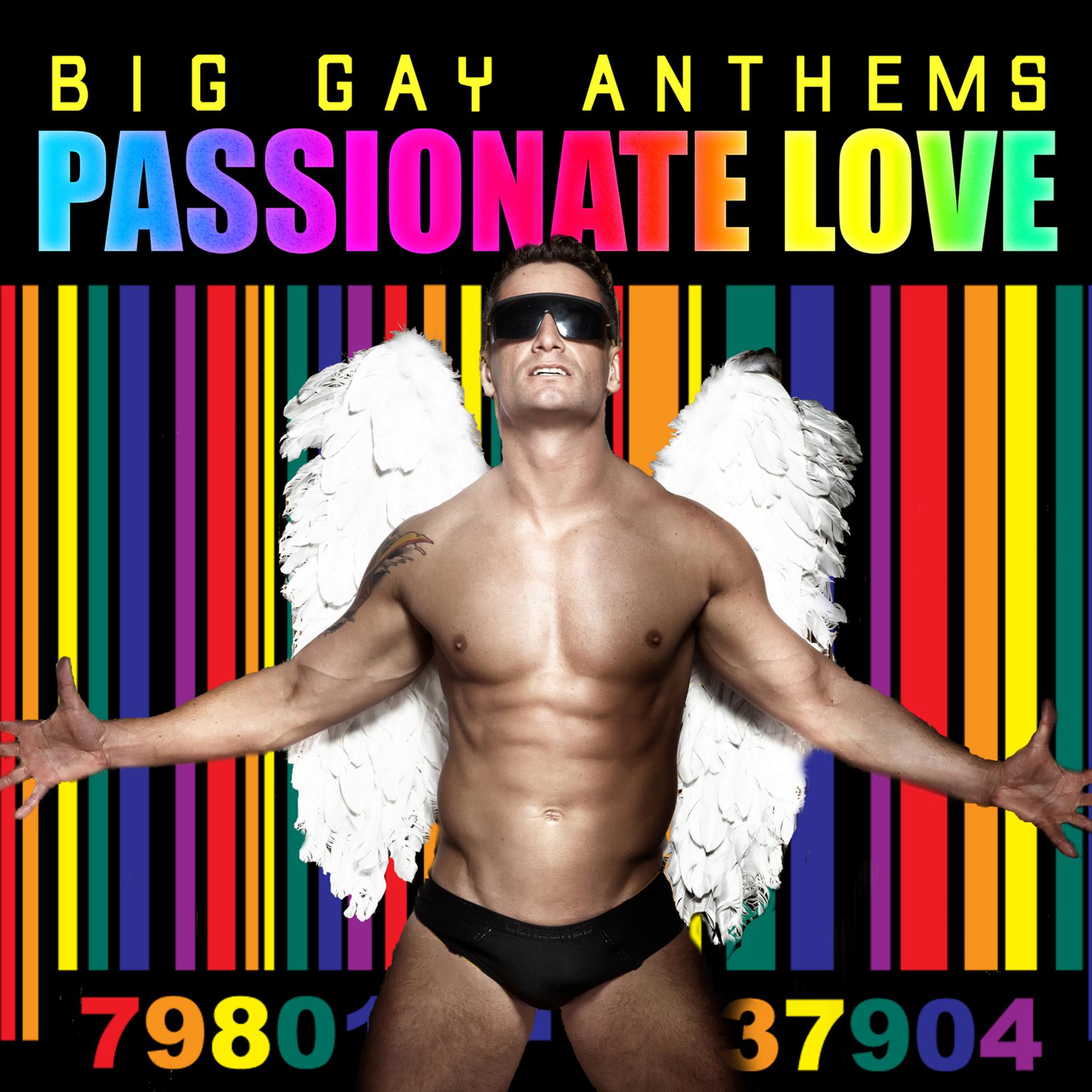Постер альбома Passionate Love: Big Gay Valentines AnthemsPassionate Love: Big Gay Anthems