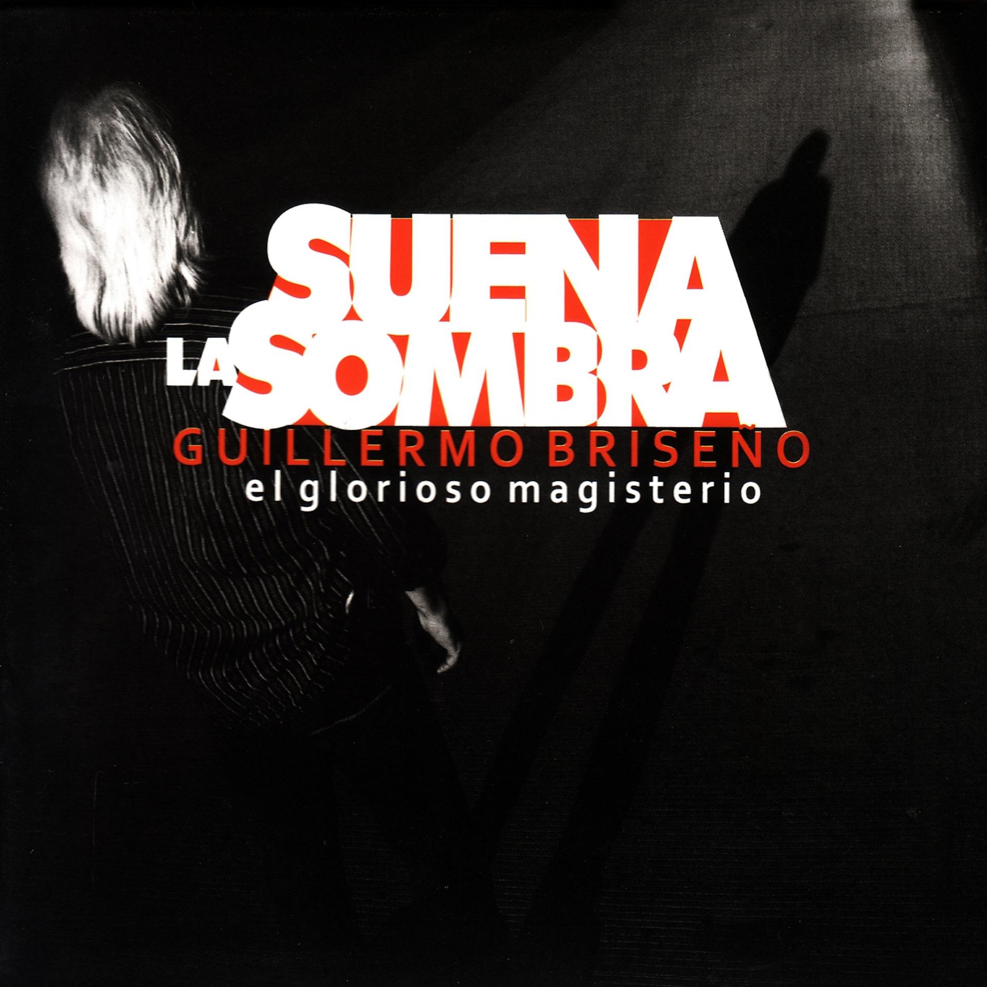 Постер альбома Suena la Sombra