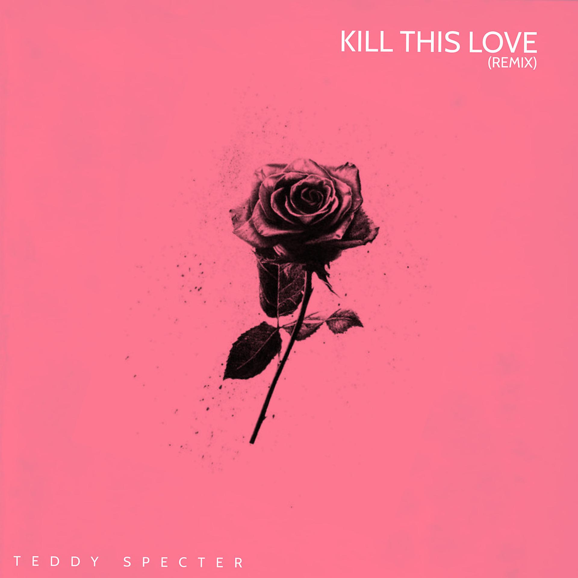 Постер альбома Kill This Love (Remix)