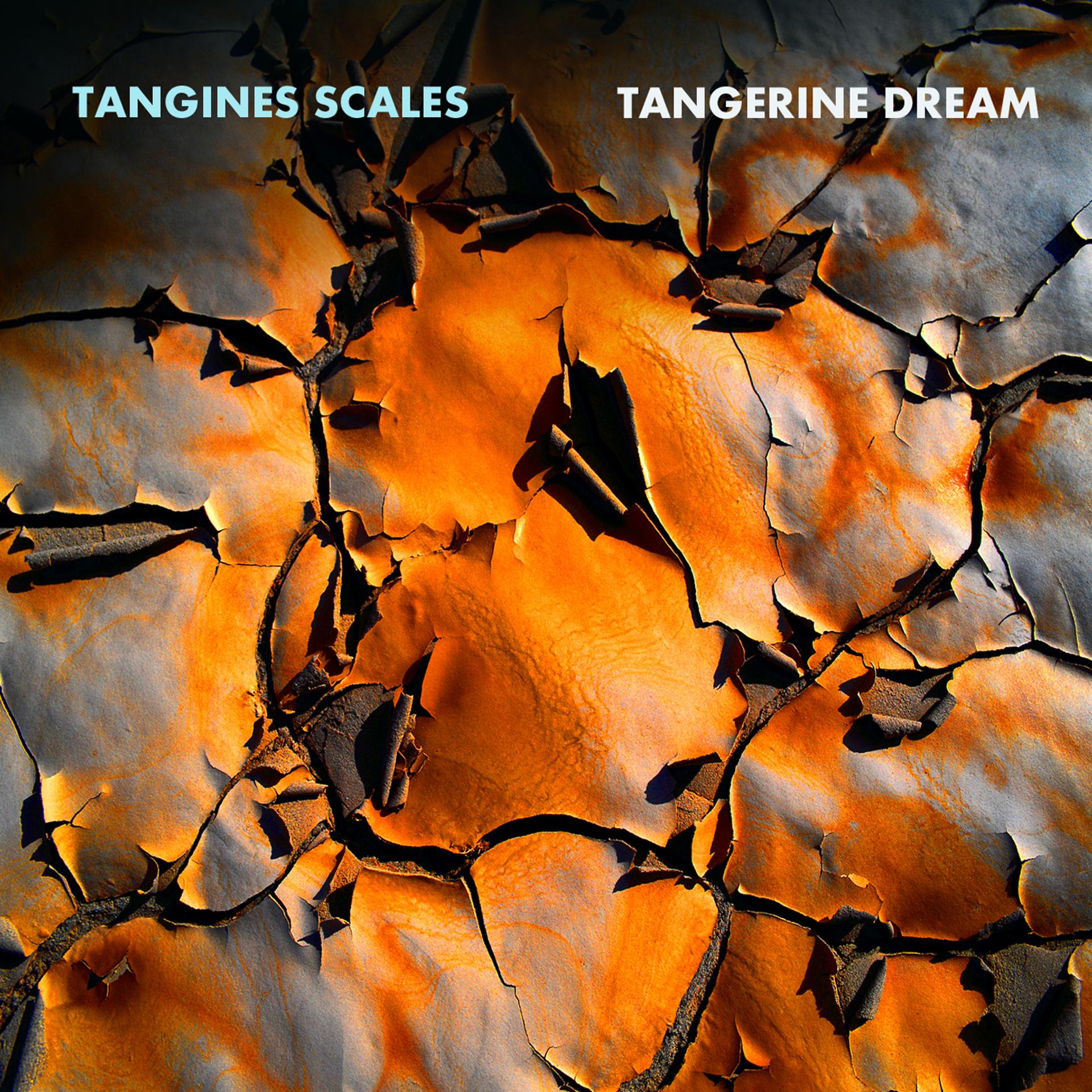 Постер альбома Tangines Scales