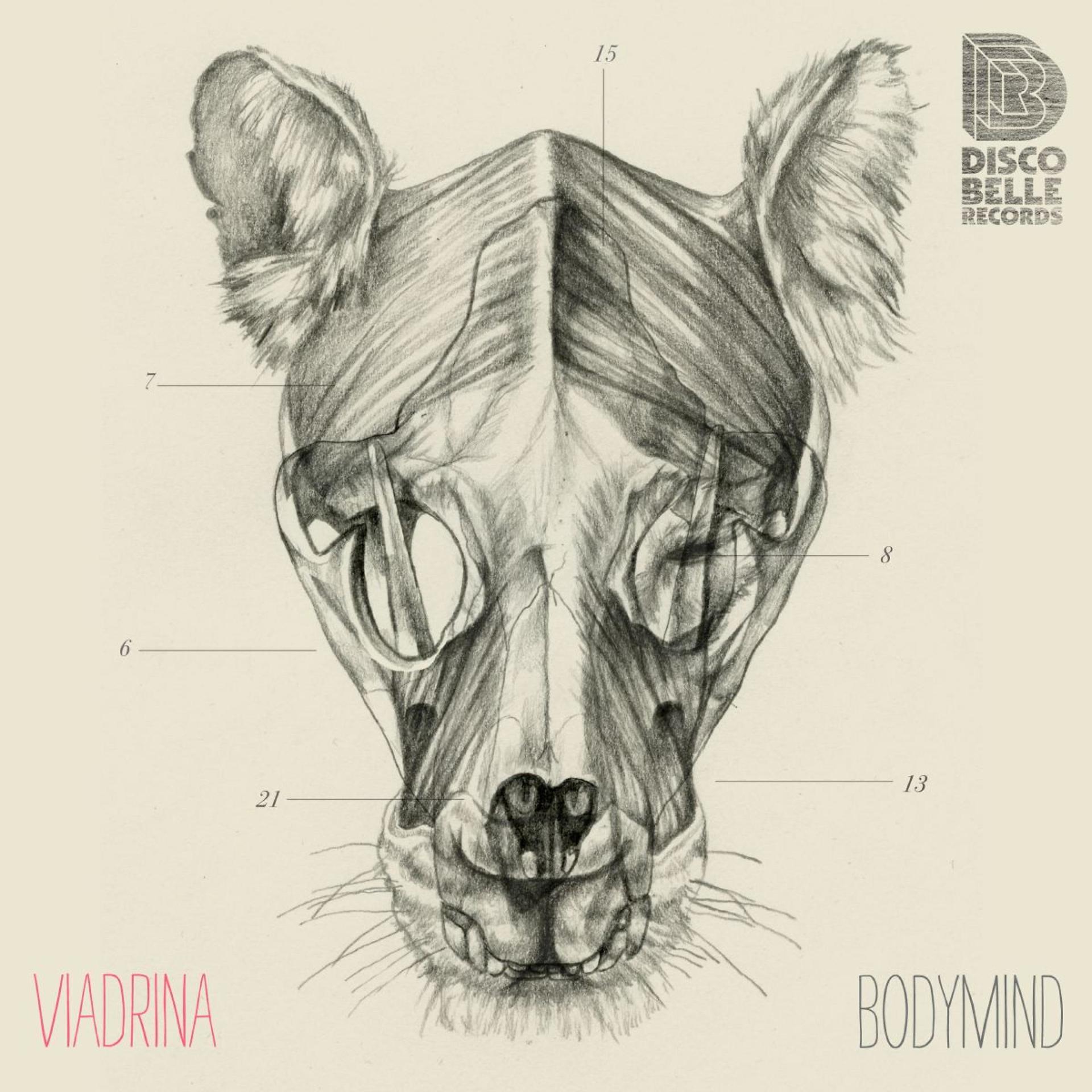 Постер альбома Bodymind