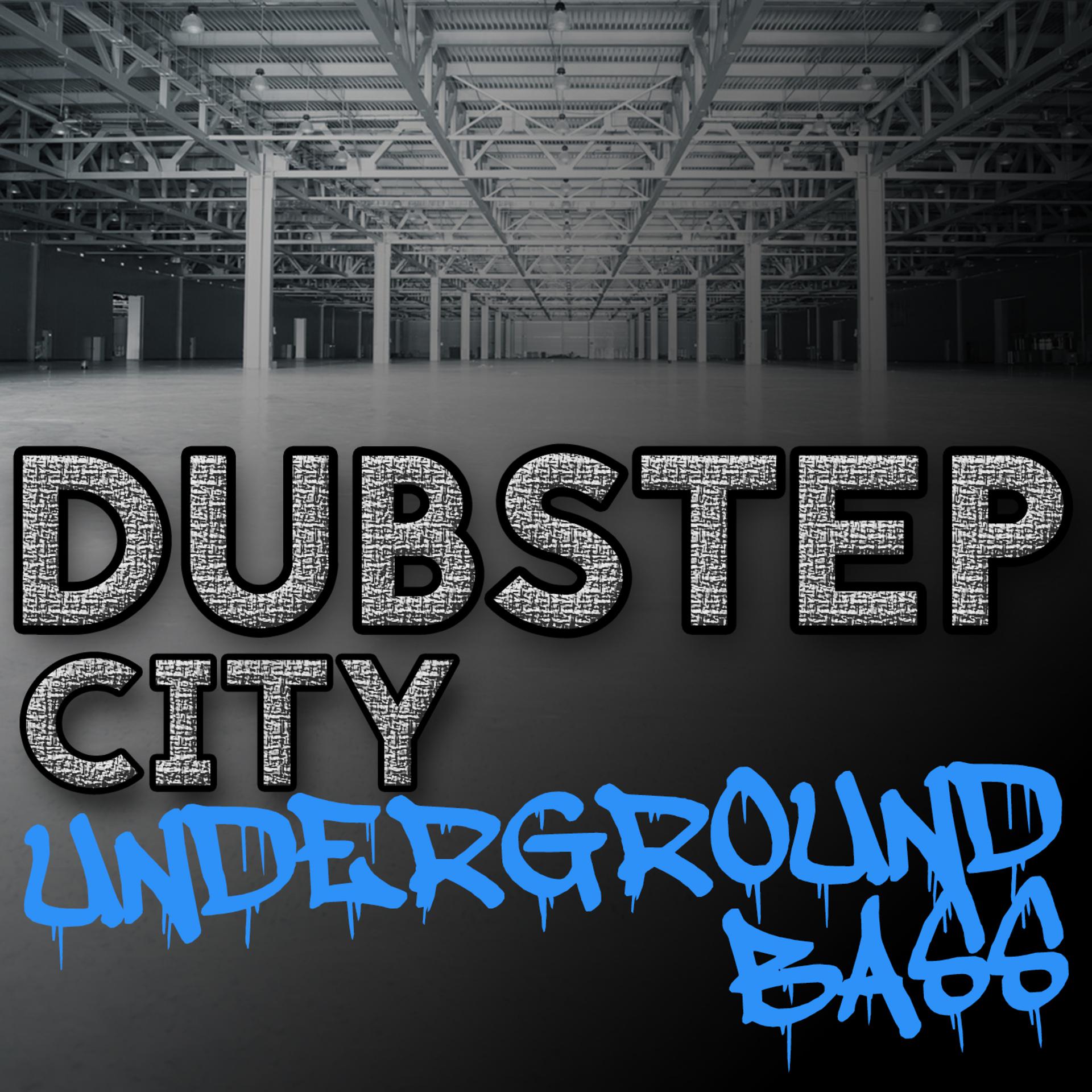 Постер альбома Dubstep City: Underground Bass