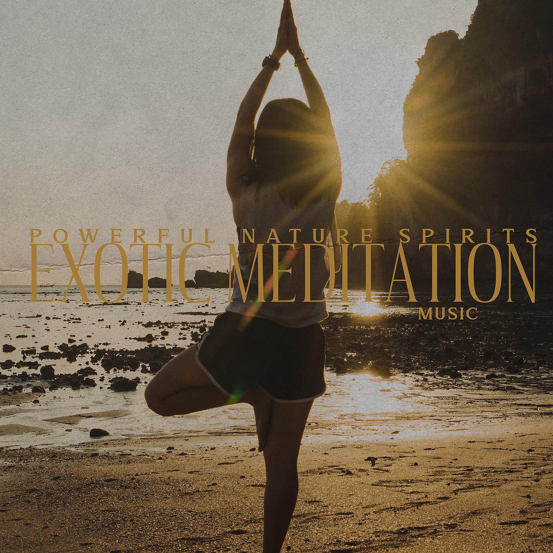 Постер альбома Powerful Nature Spirits: Exotic Meditation Music - Healing, Relaxing, Recharging Batteries