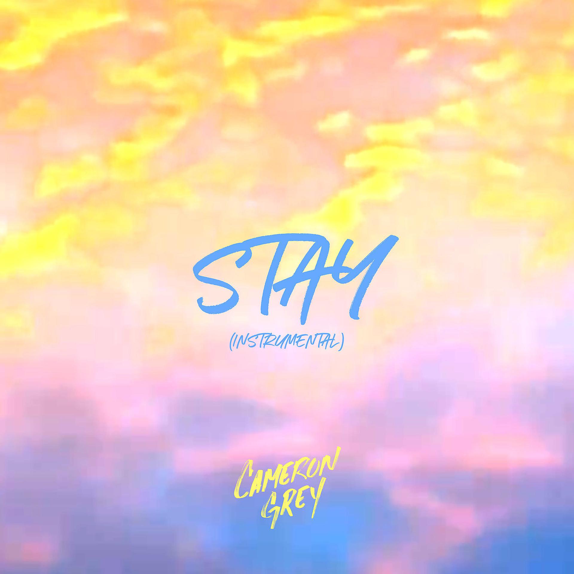 Постер альбома Stay (Instrumental)