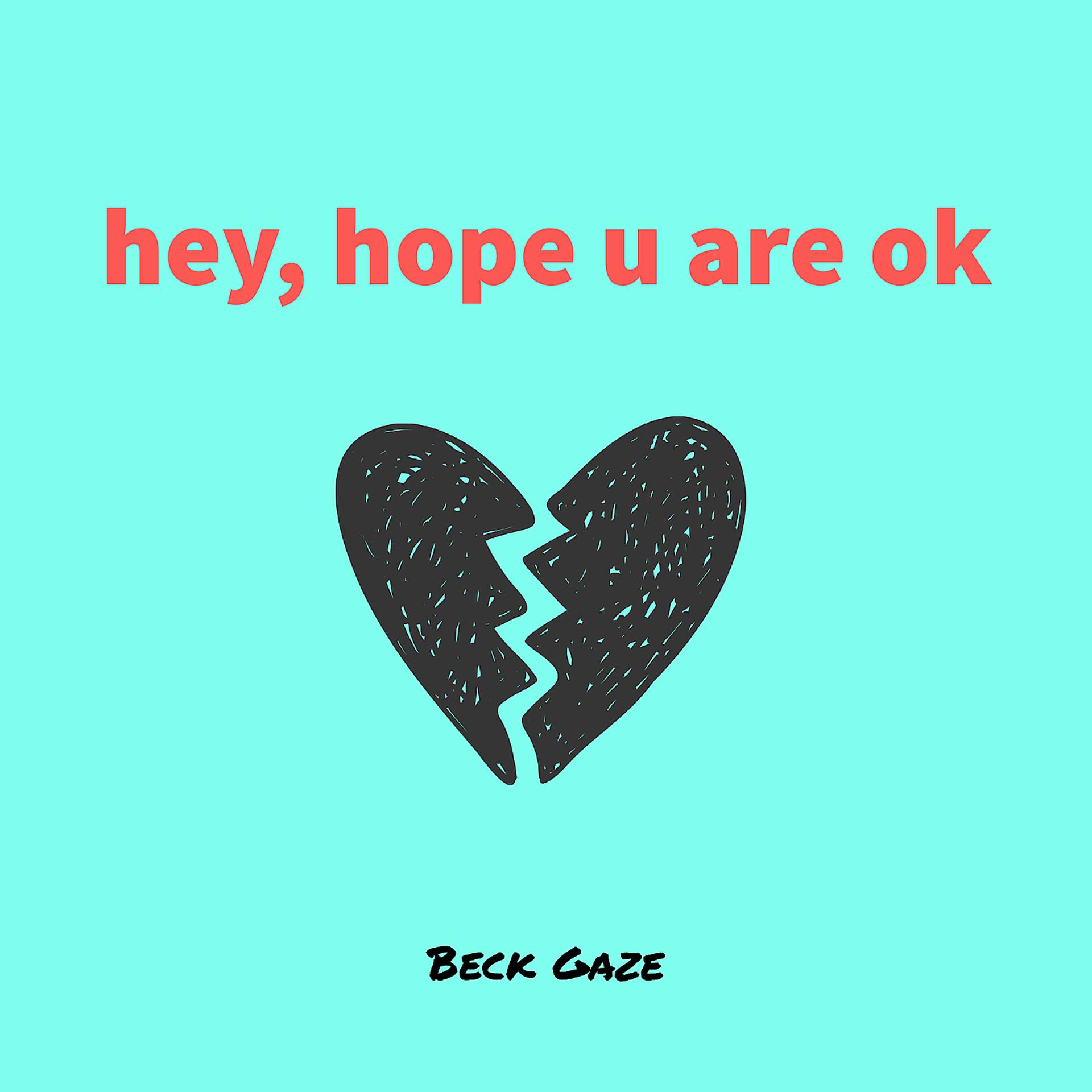 Постер альбома Hey, Hope U Are OK