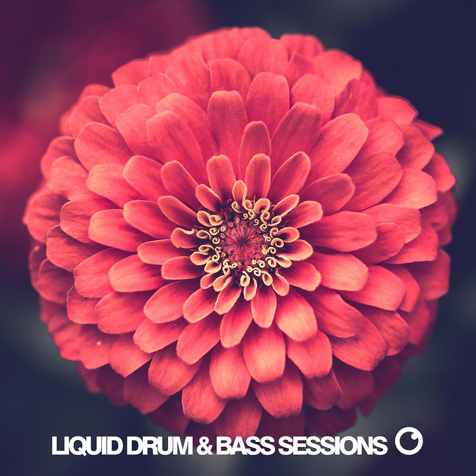 Постер альбома Liquid Drum & Bass Sessions 2020 Vol 8
