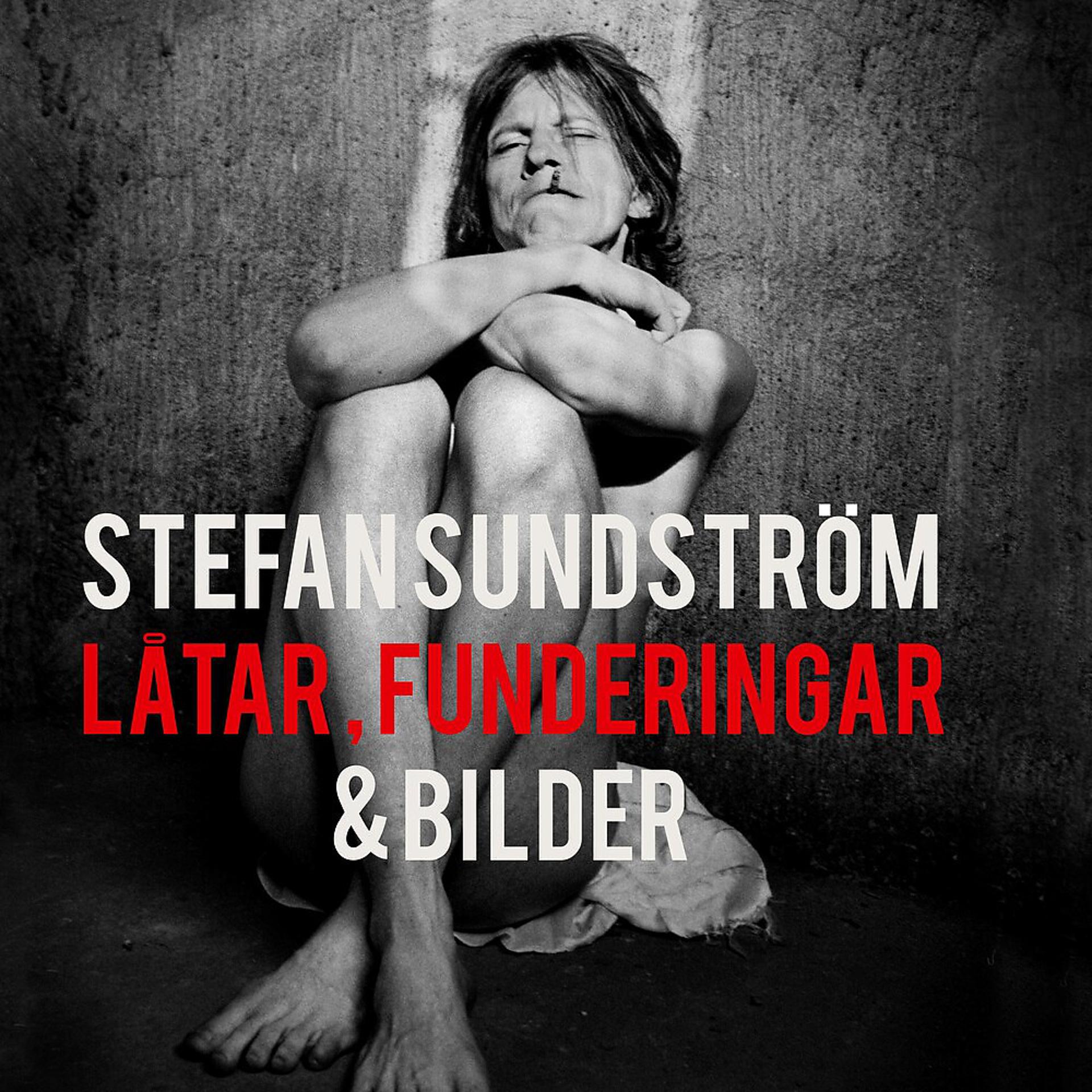 Постер альбома Soundtrack till Låtar, Funderingar & Bilder