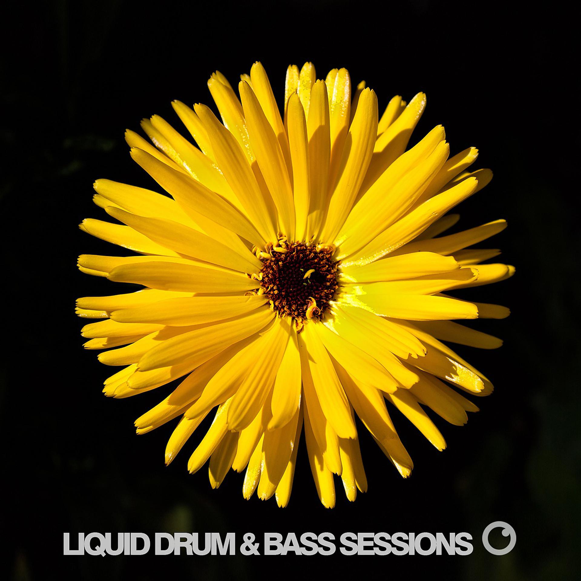 Постер альбома Liquid Drum and Bass Sessions 2019 Vol 1