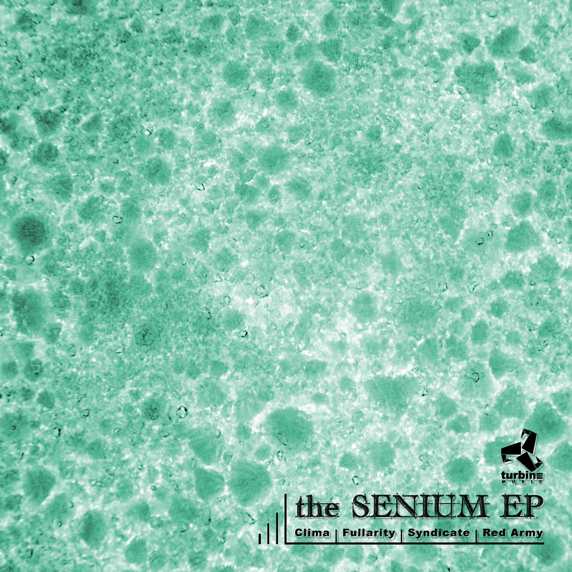 Постер альбома The Senium EP