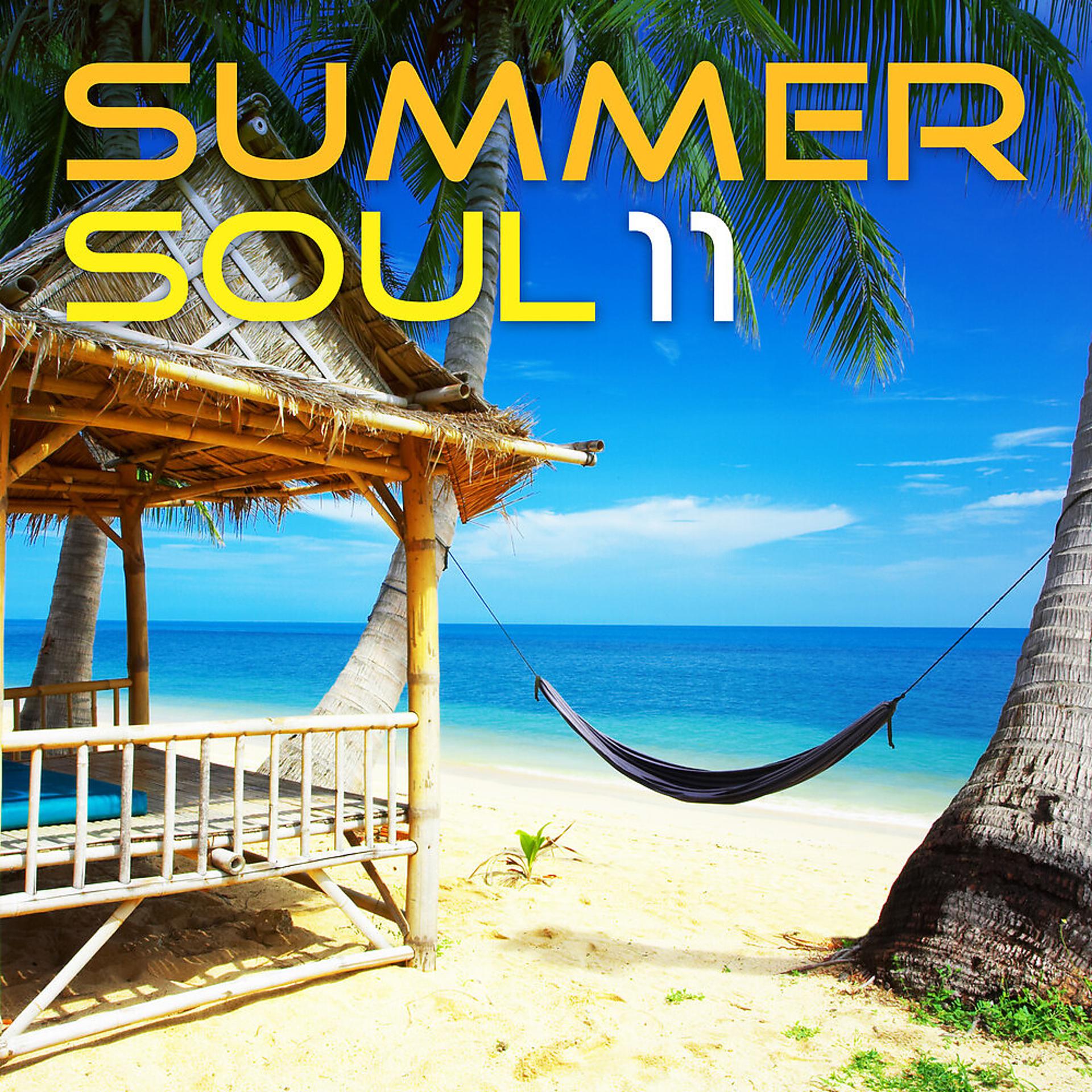 Постер альбома Summer Soul 11
