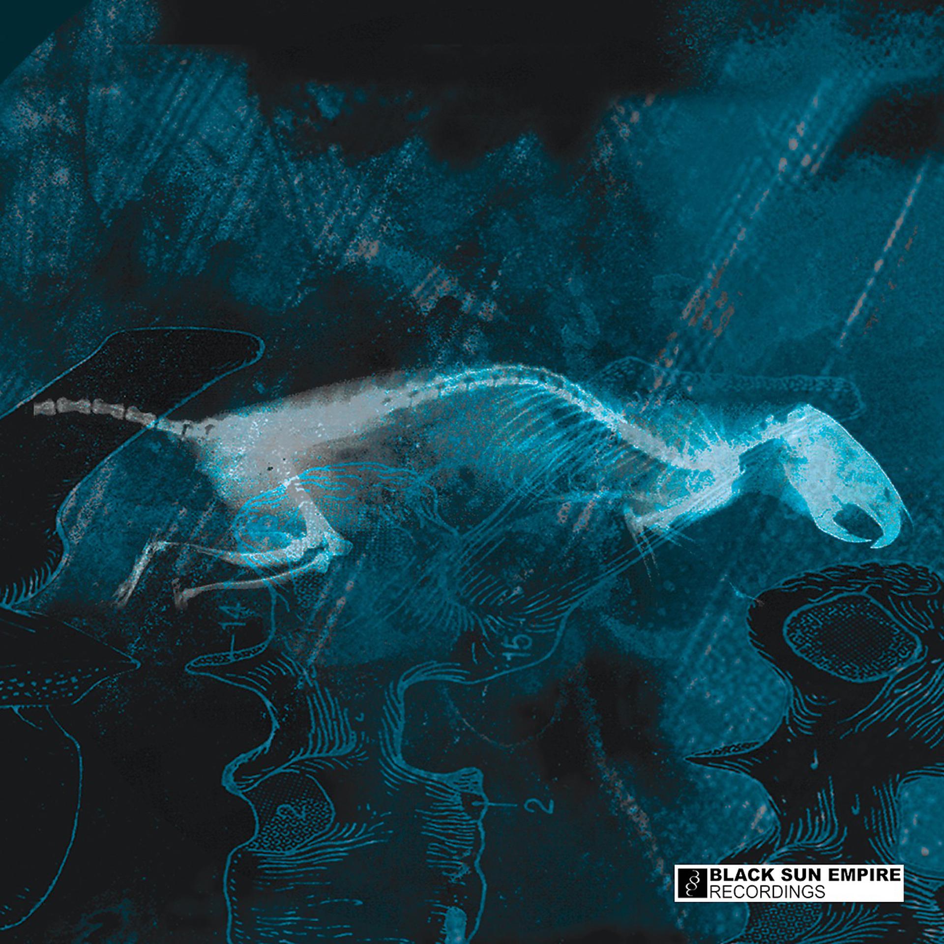 Постер альбома The Rat / B'Negative