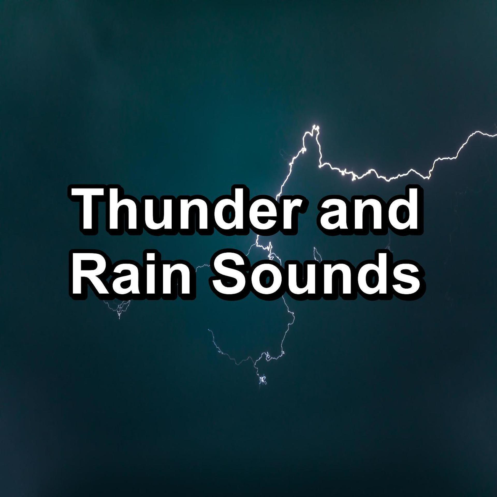 Постер альбома Thunder and Rain Sounds