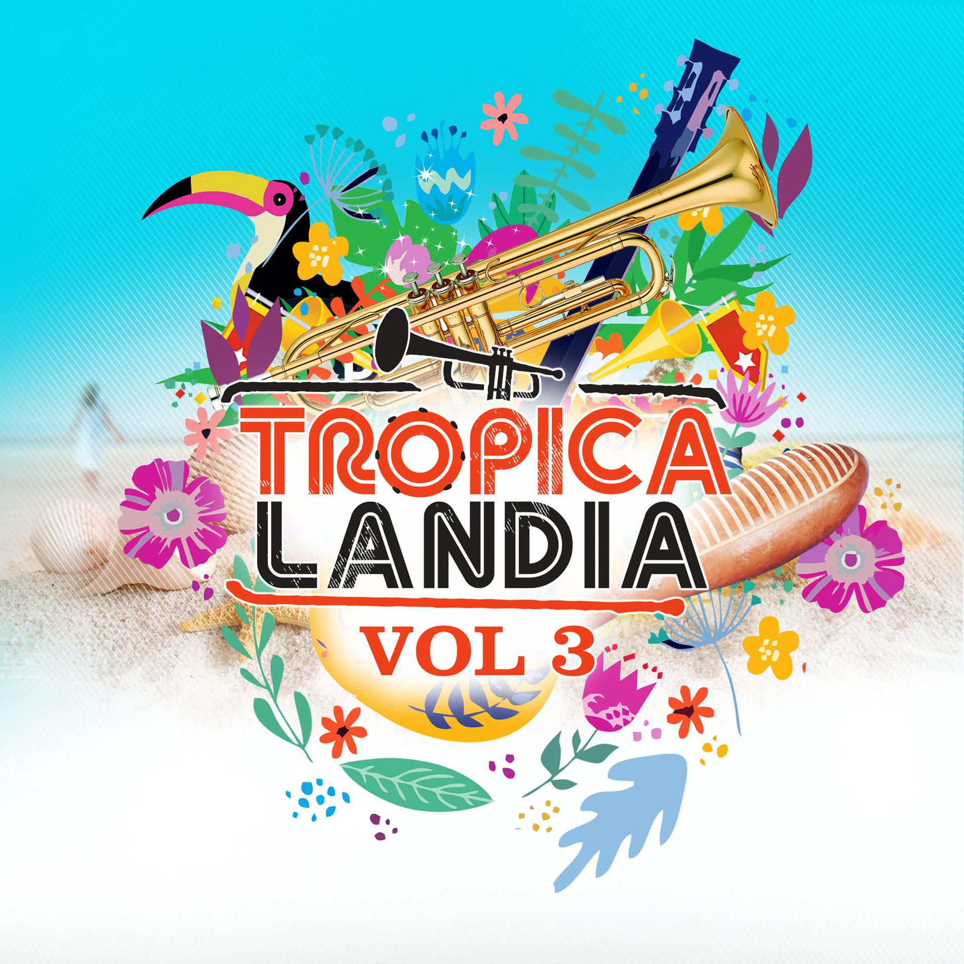 Постер альбома Tropicalandia Vol. 3