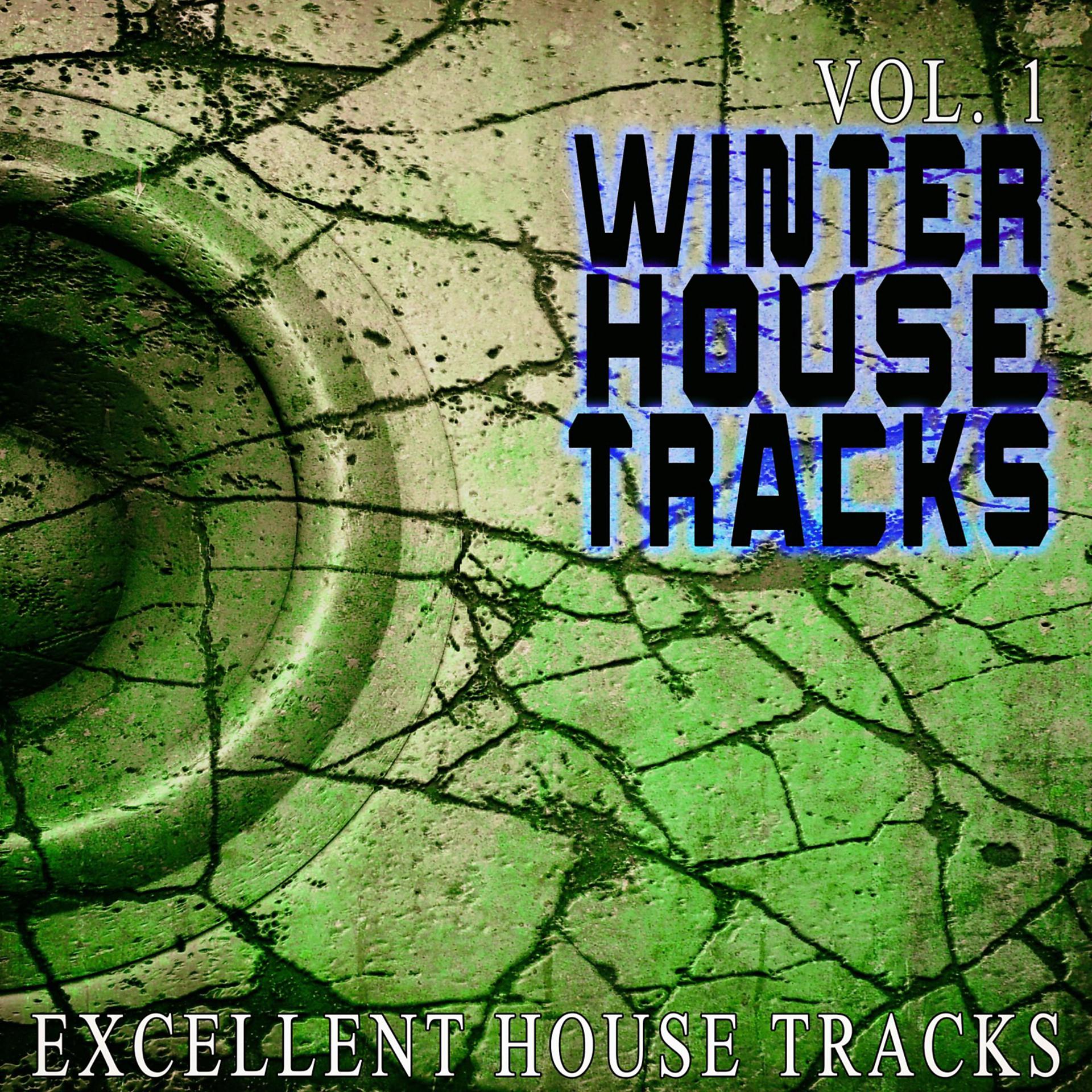 Постер альбома Winter House, Vol. 1 - Excellent House