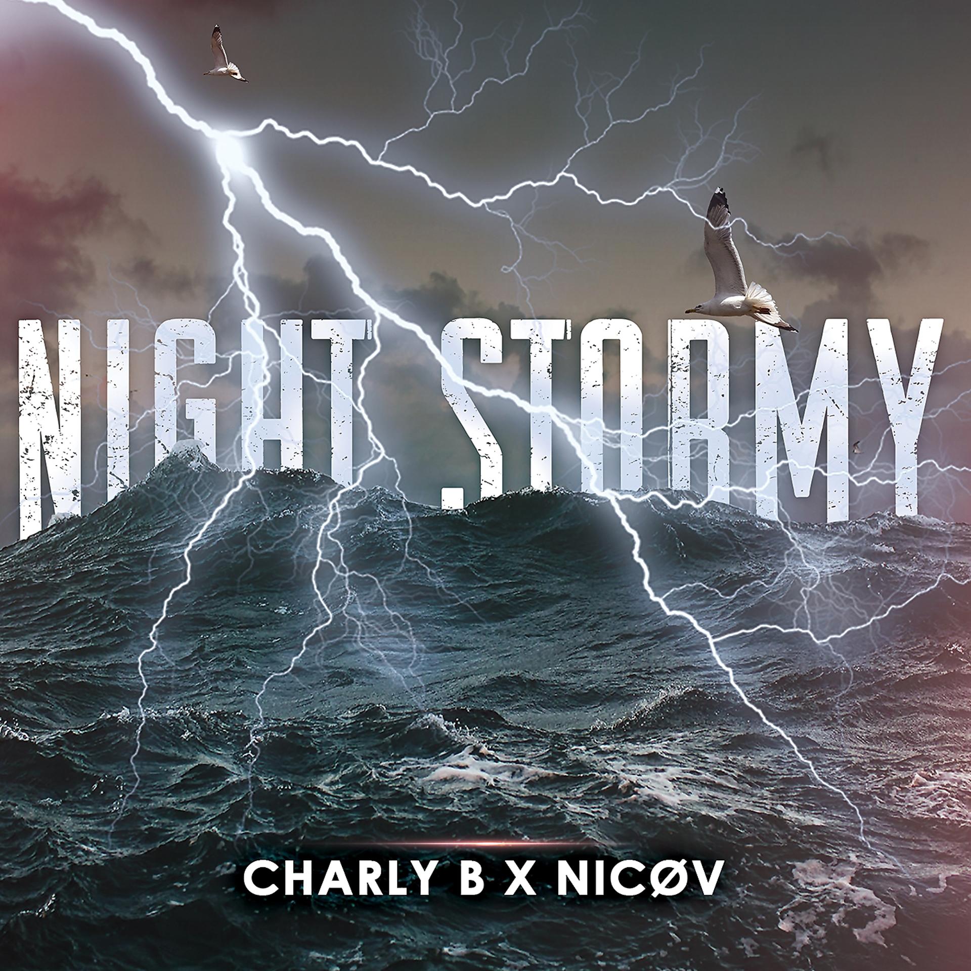 Постер альбома Night Stormy