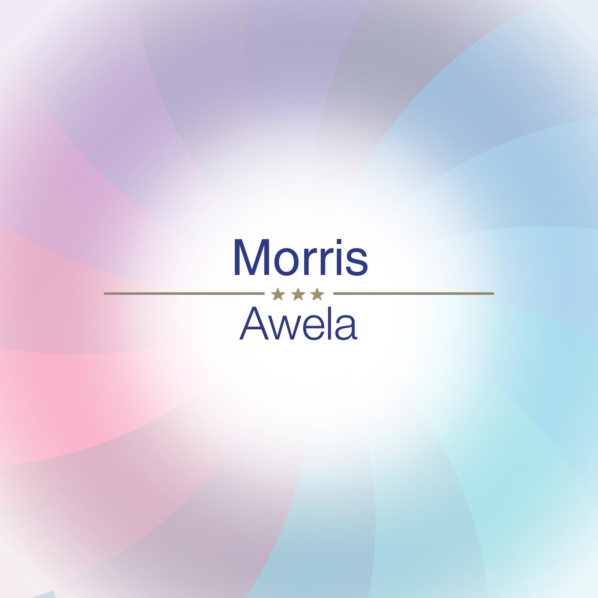 Постер альбома Awela