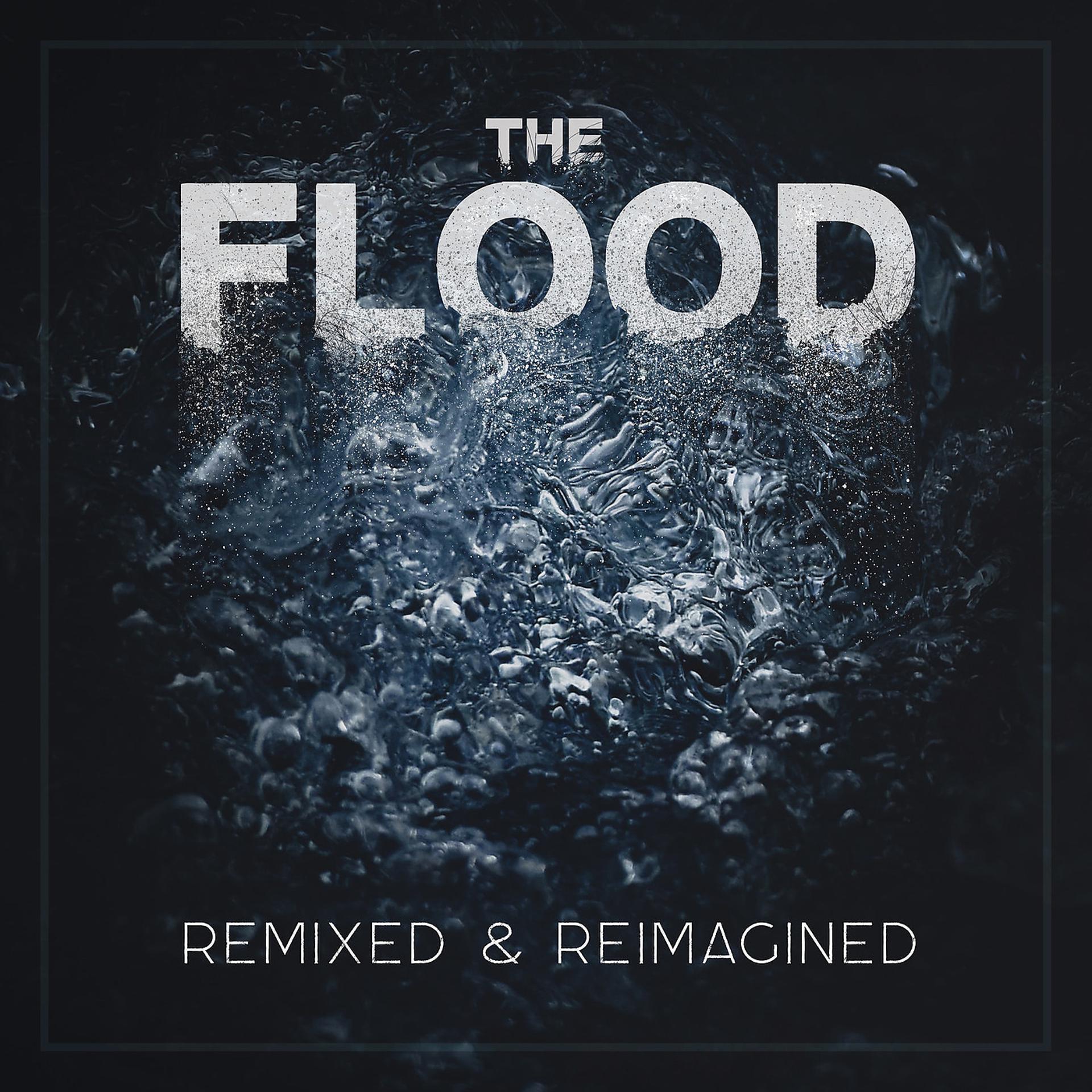 Постер альбома The Flood: Remixed & Reimagined