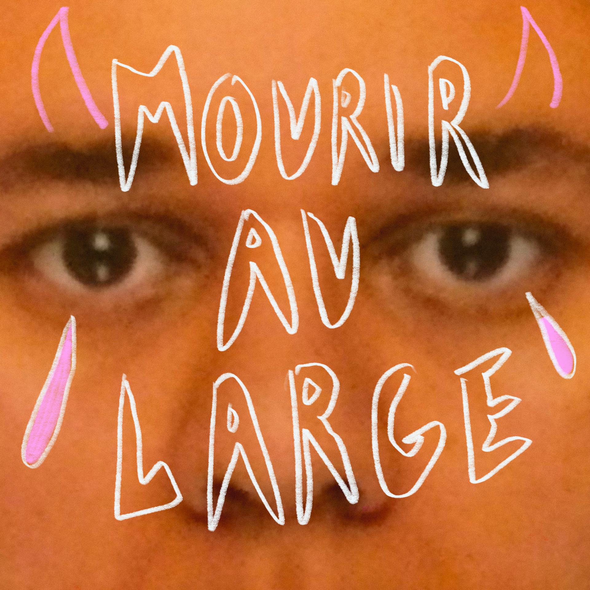 Постер альбома Mourir au large