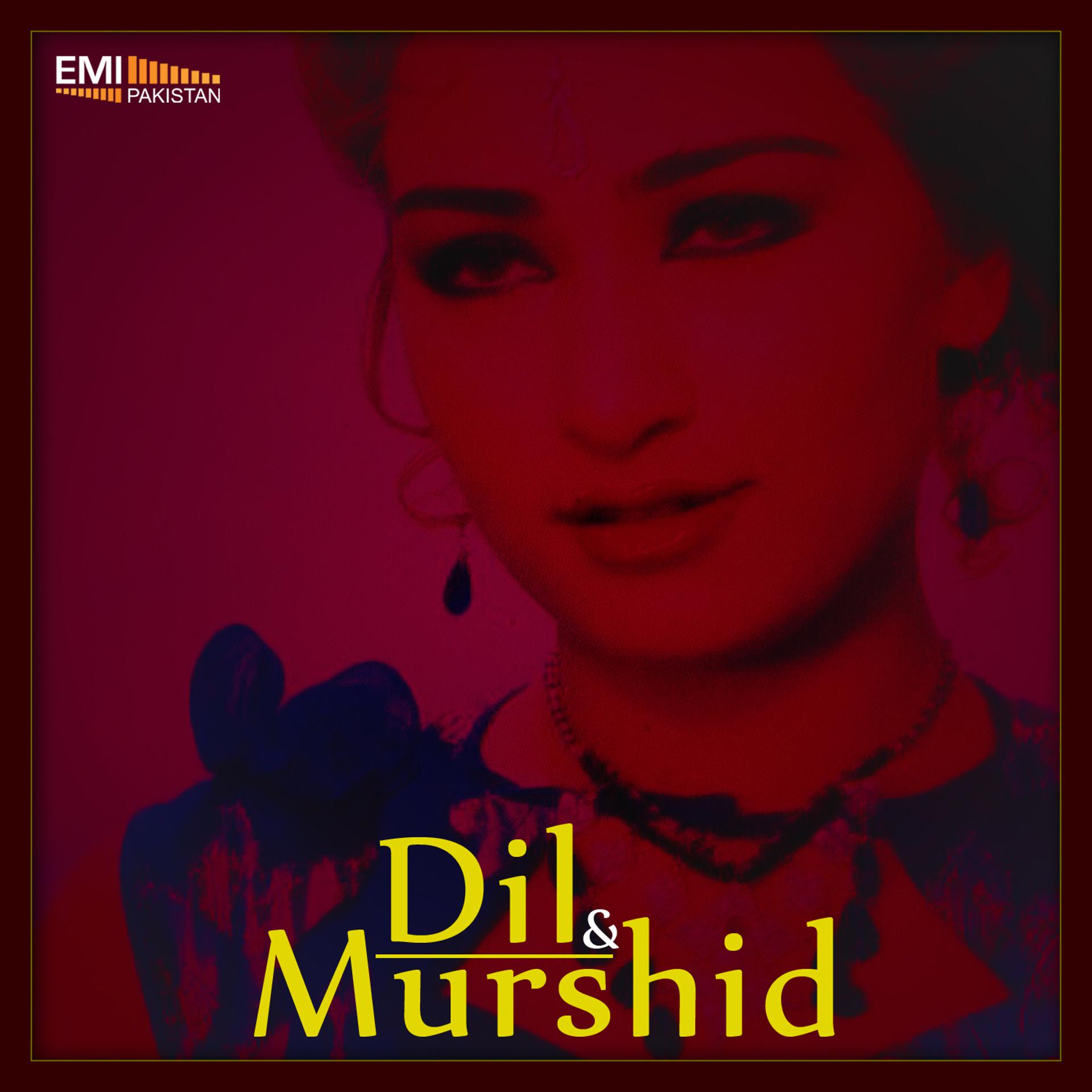 Постер альбома Dil / Murshid