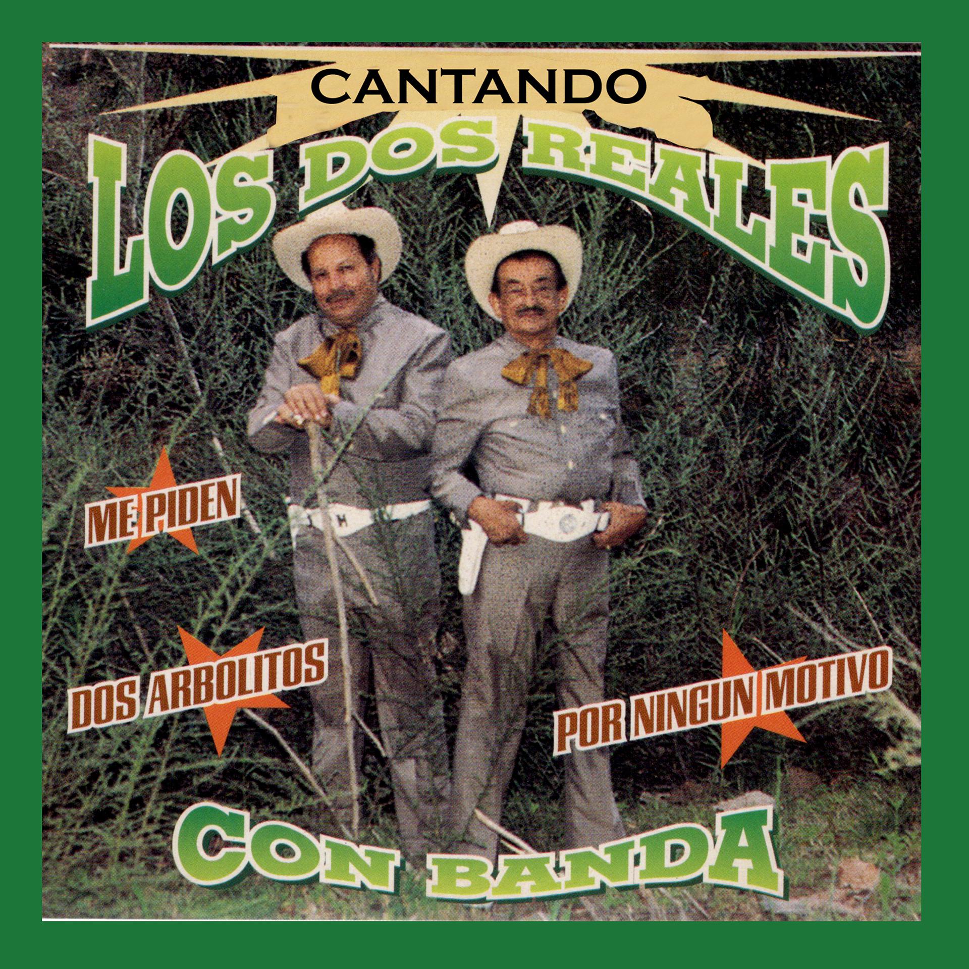 Постер альбома Cantando Con Banda