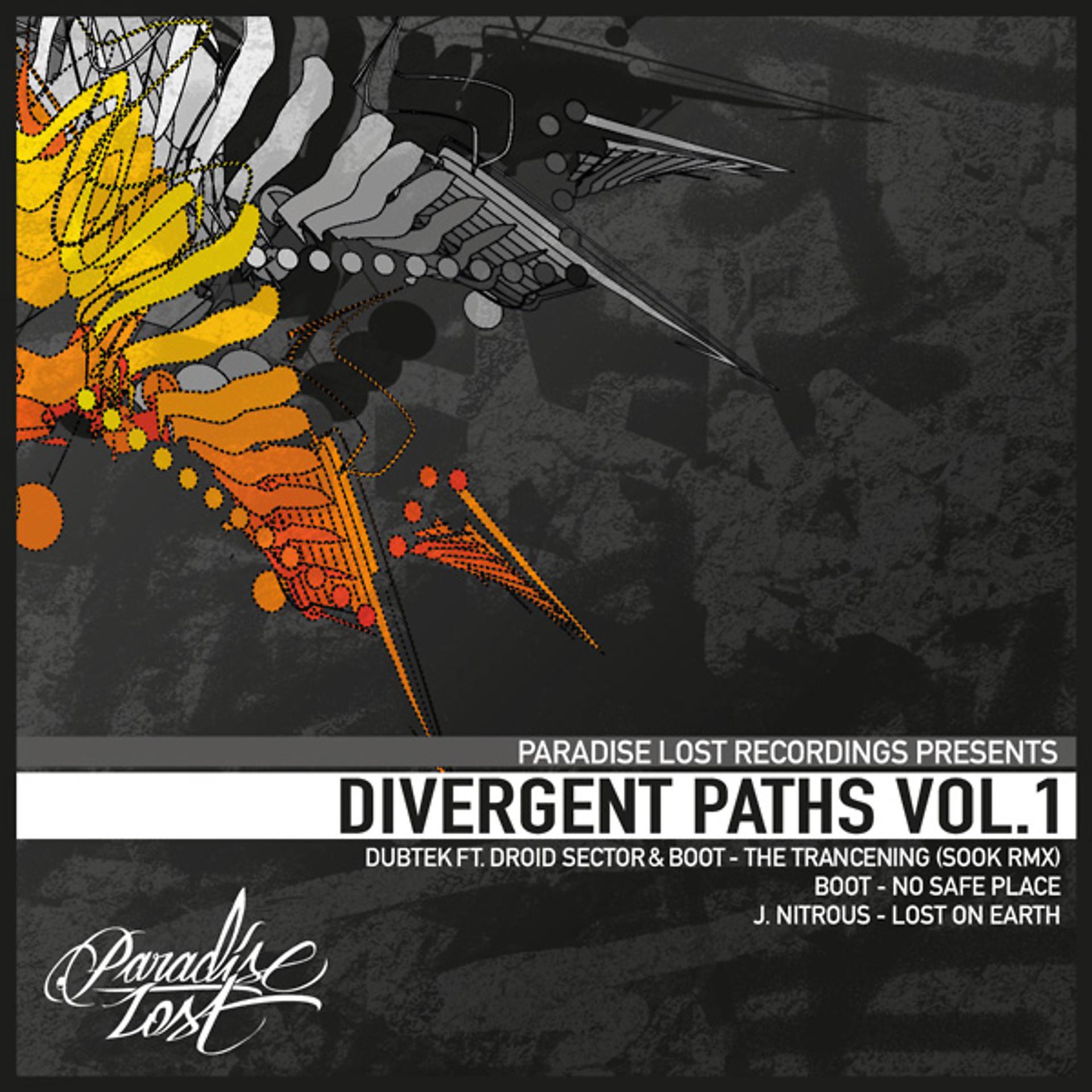 Постер альбома Divergent Paths Vol.1