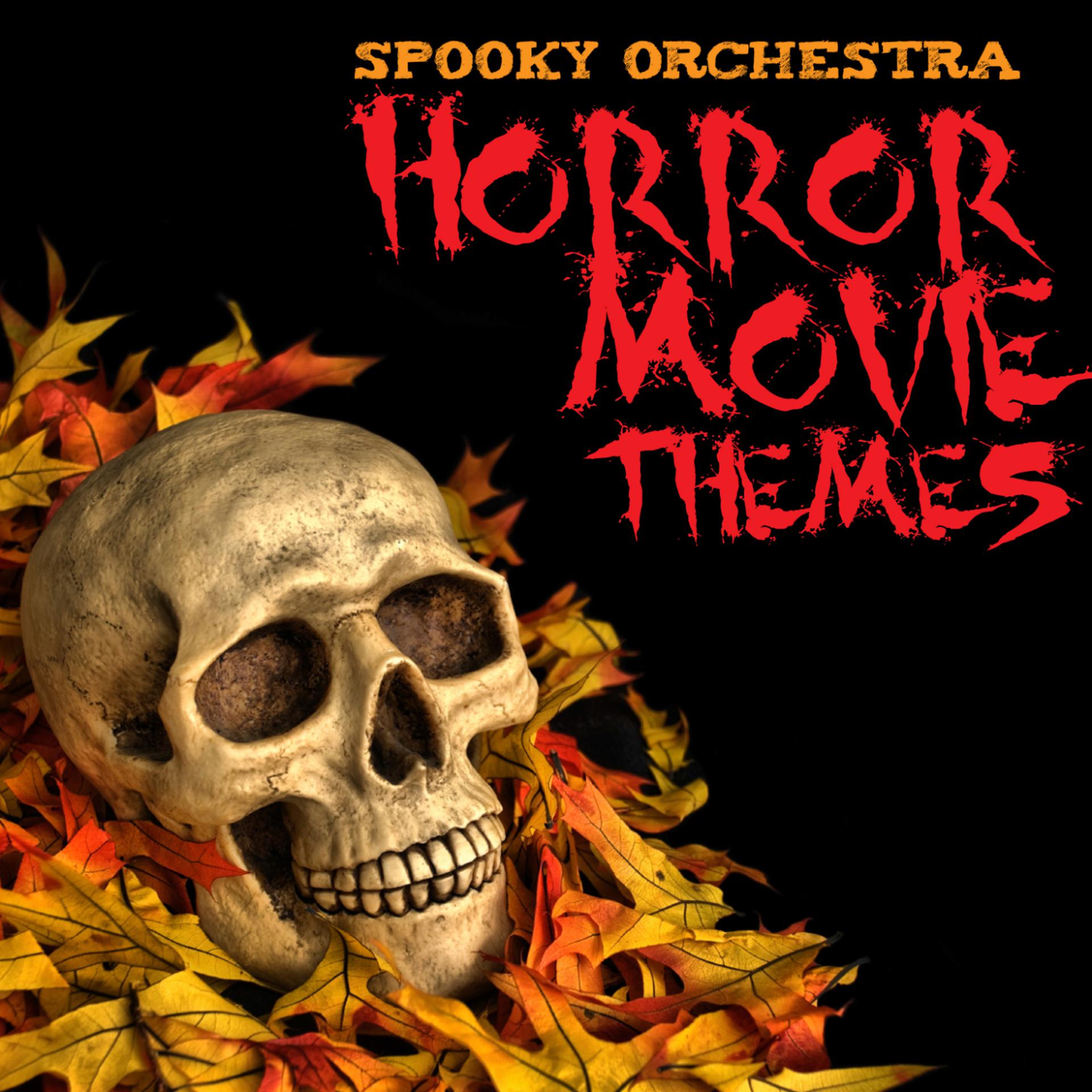 Постер альбома Horror Movie Themes