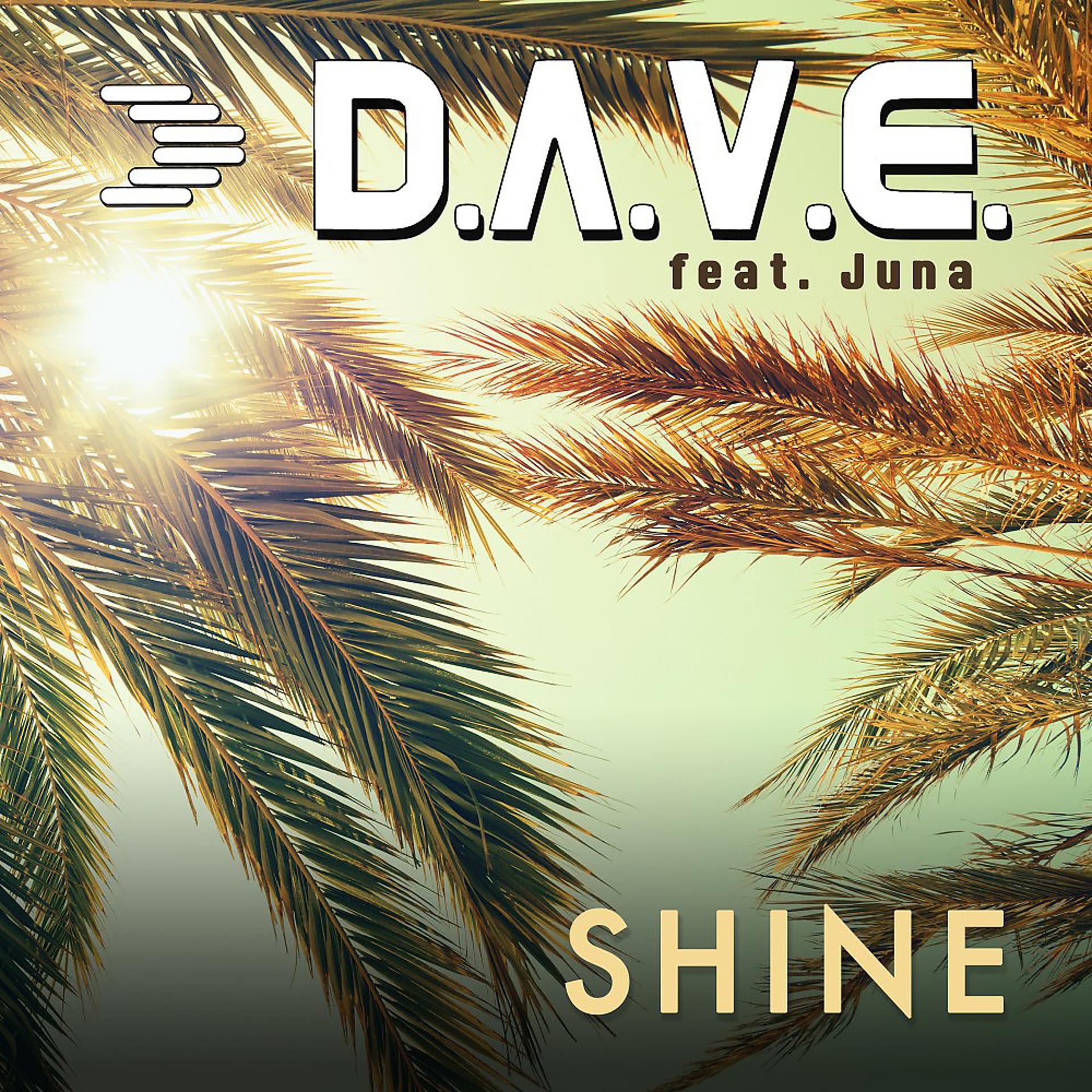Постер альбома Shine (Radio Edit)