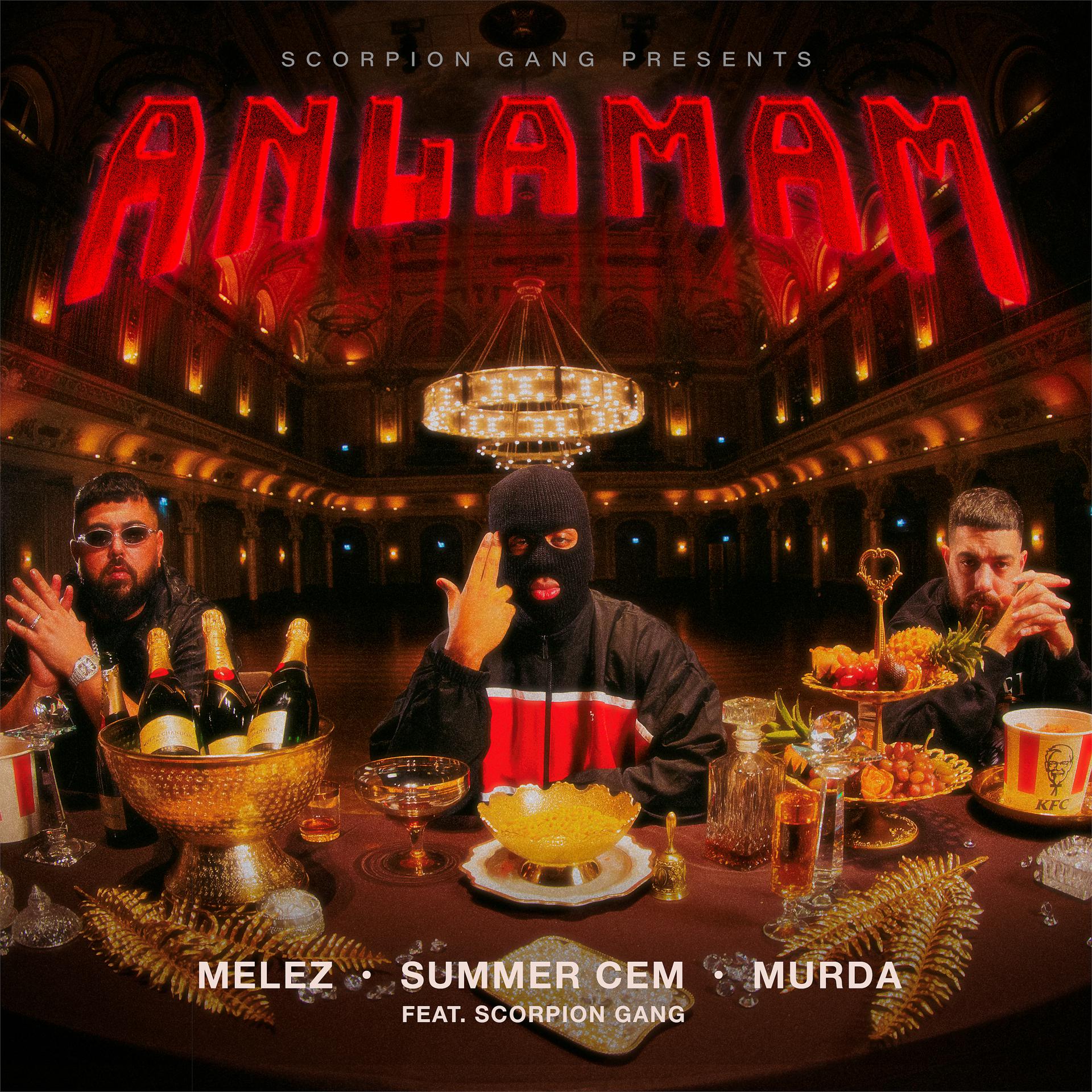 Постер альбома ANLAMAM (feat. Scorpion Gang)