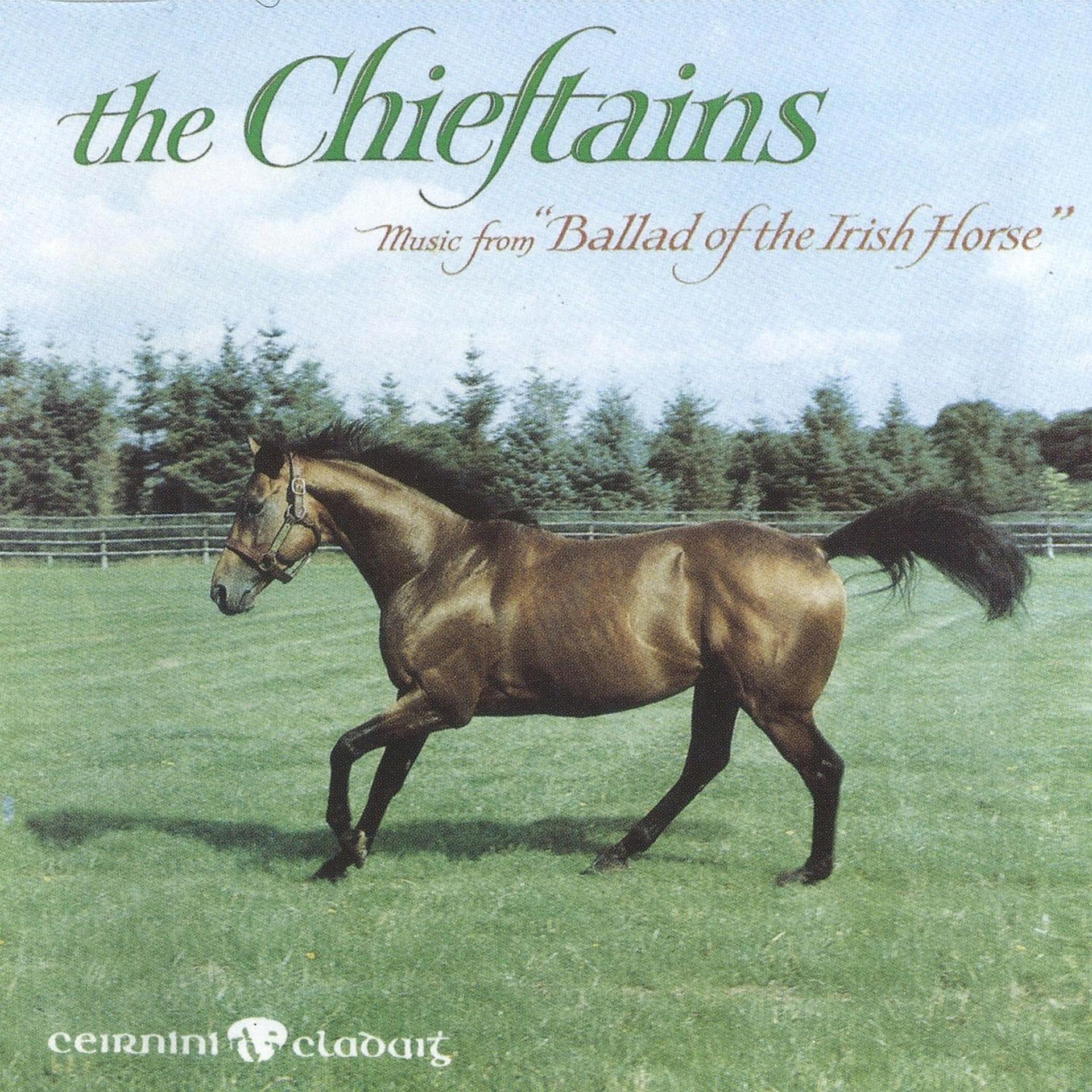 Постер альбома Music From Ballad Of The Irish Horse