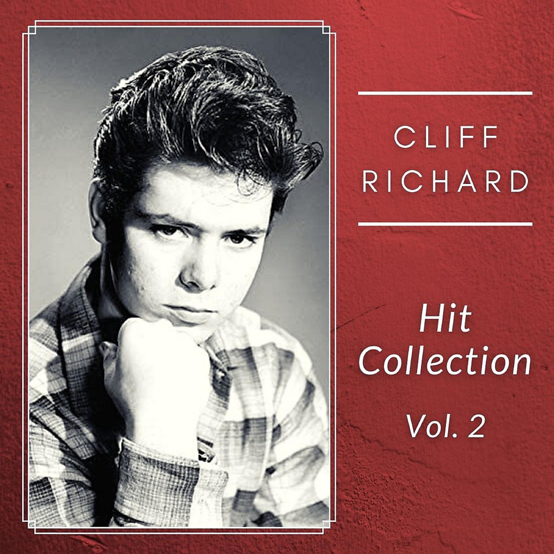 Постер альбома Hit Collection (Vol. 2)