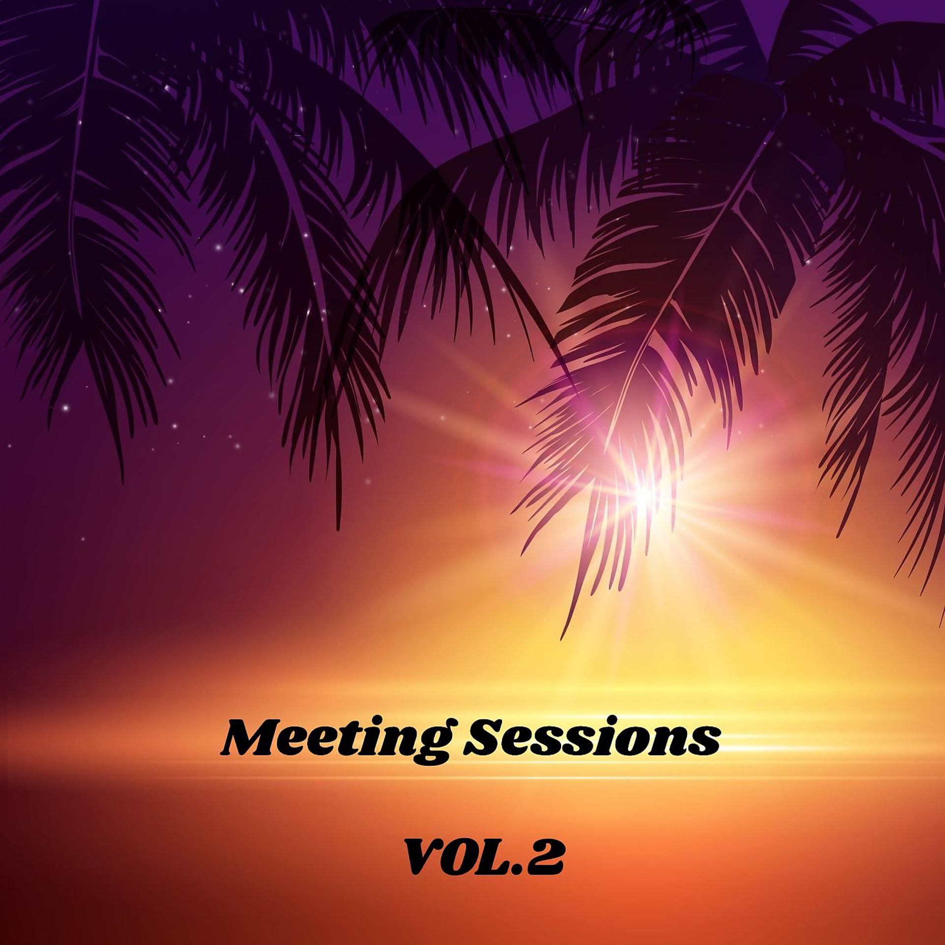 Постер альбома Meeting Sessions, Vol. 2