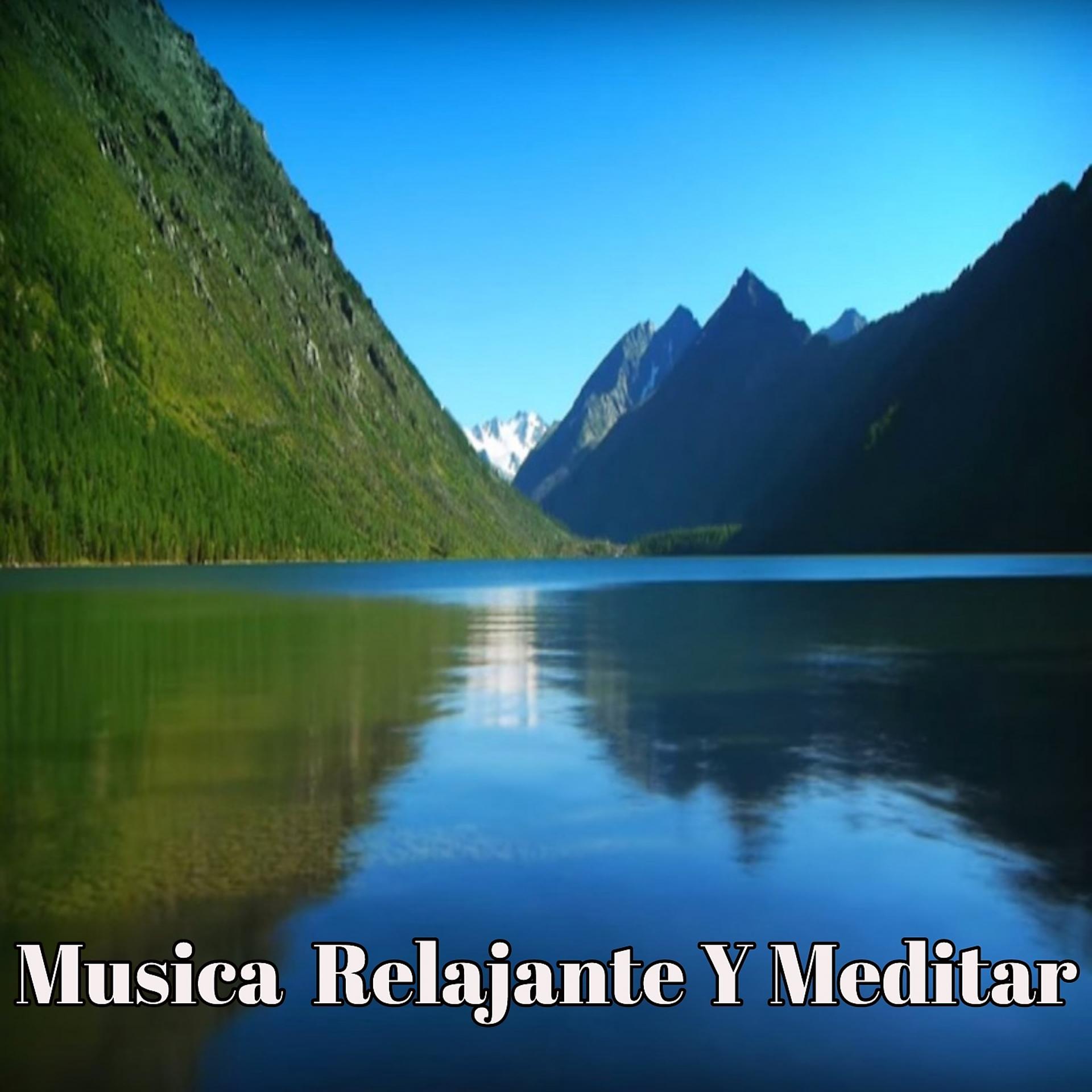 Постер альбома Musica Relajante Y Meditar