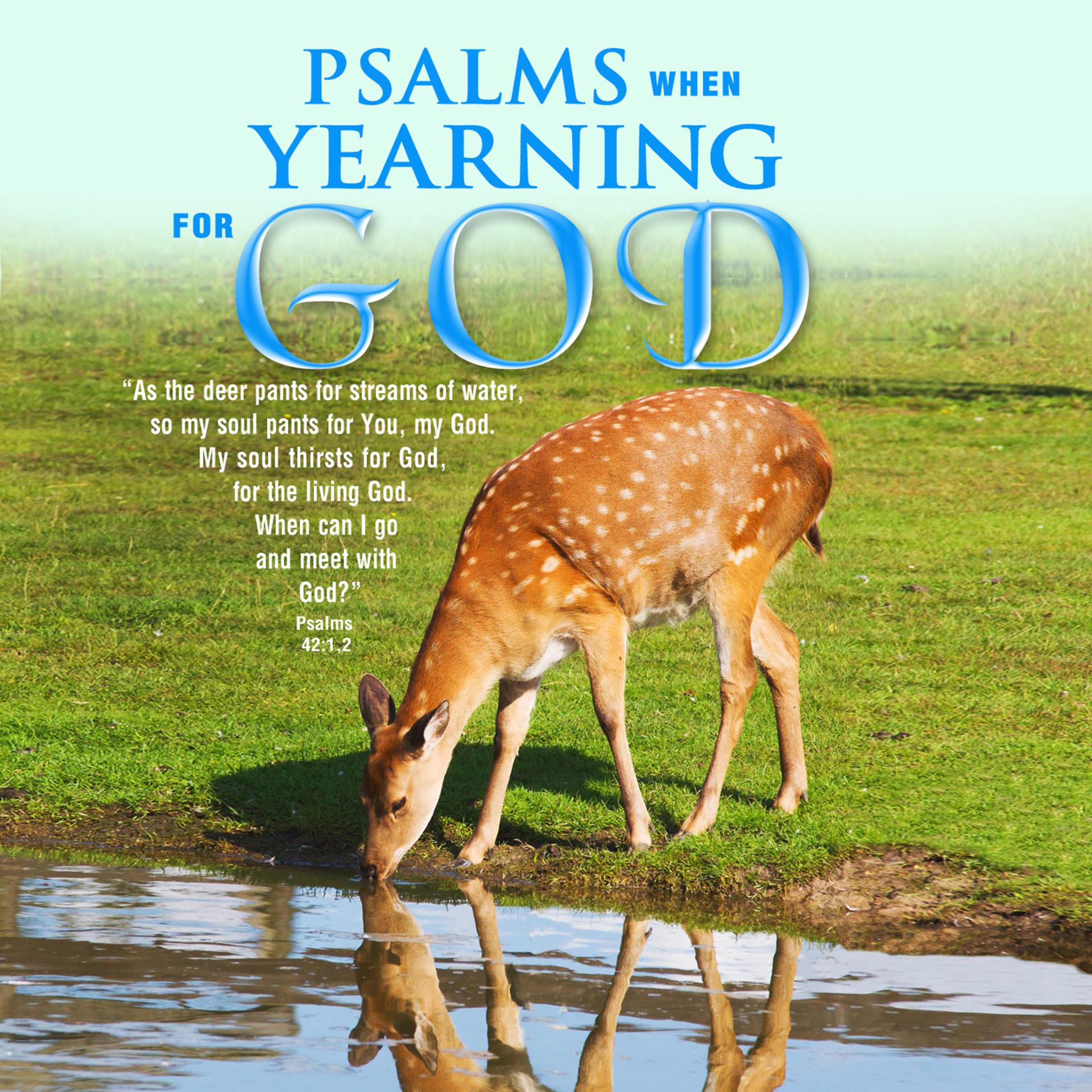 Постер альбома Psalms When Yearning for God