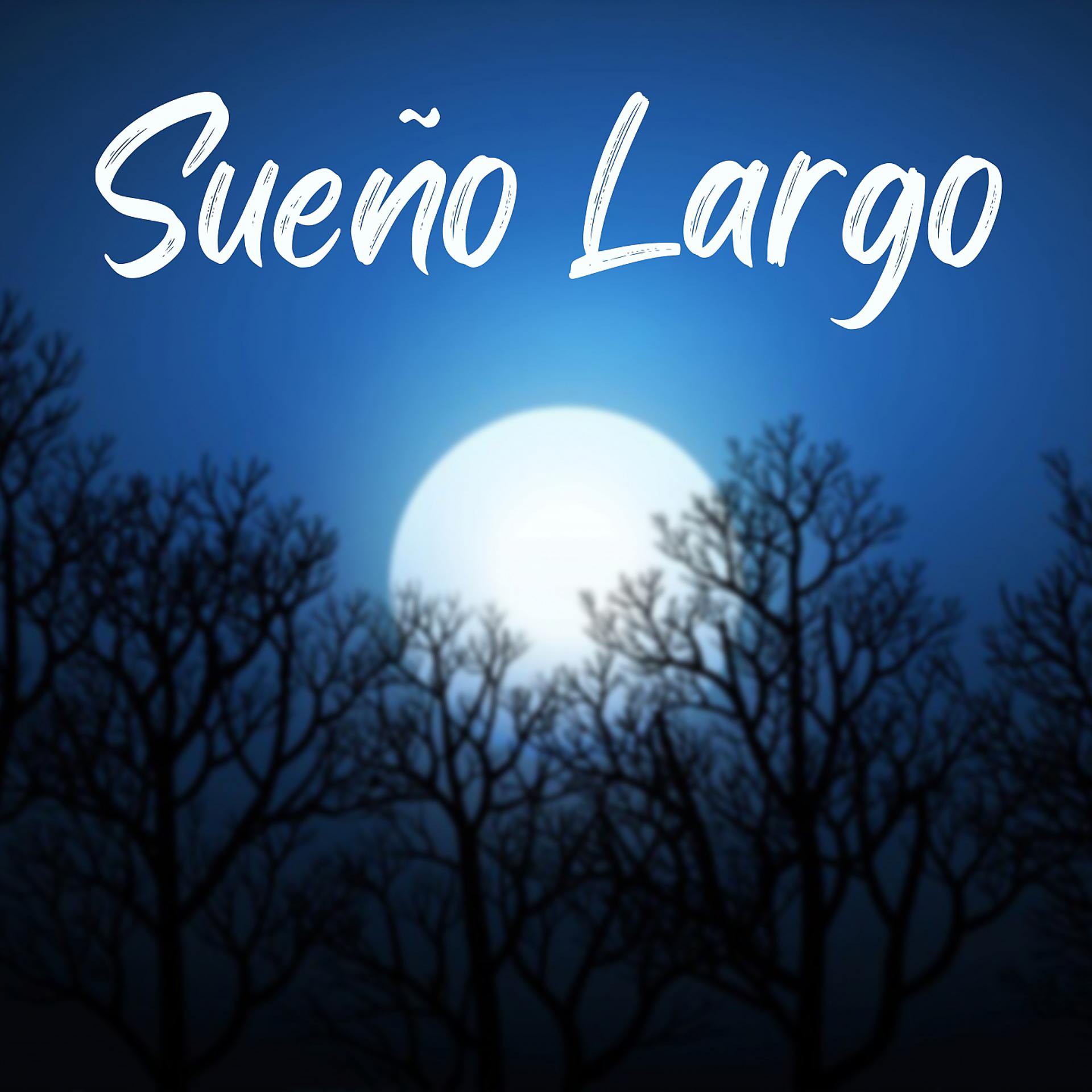 Постер альбома Sueño Largo