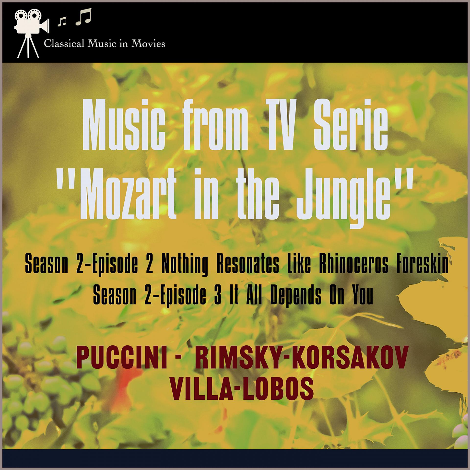 Постер альбома Music from Tv Serie: "Mozart in the Jungel" S2, E2 Nothing Resonates Like Rhinoceros Foreskin - S2, E3 It All Depends on You