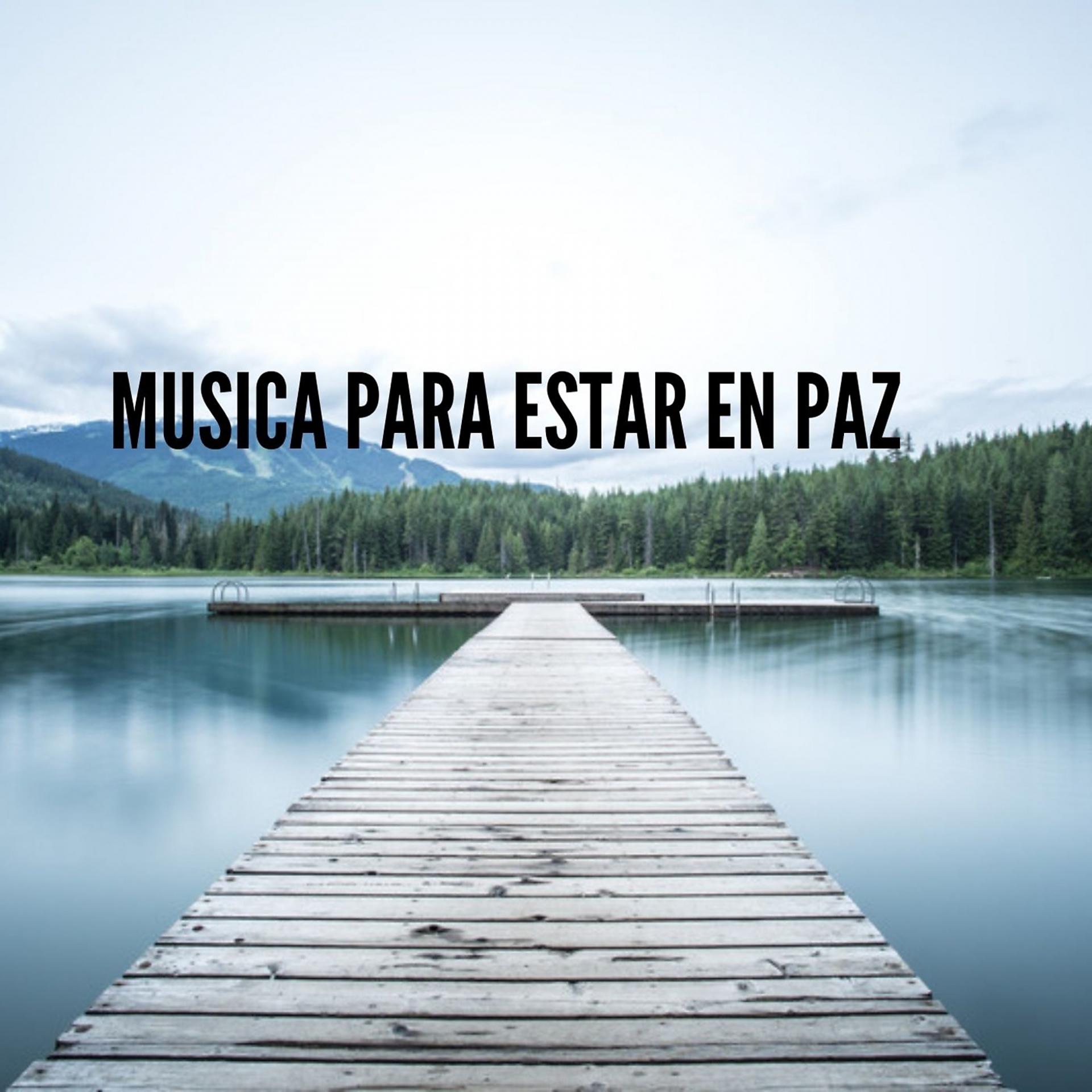 Постер альбома Musica para Estar en Paz