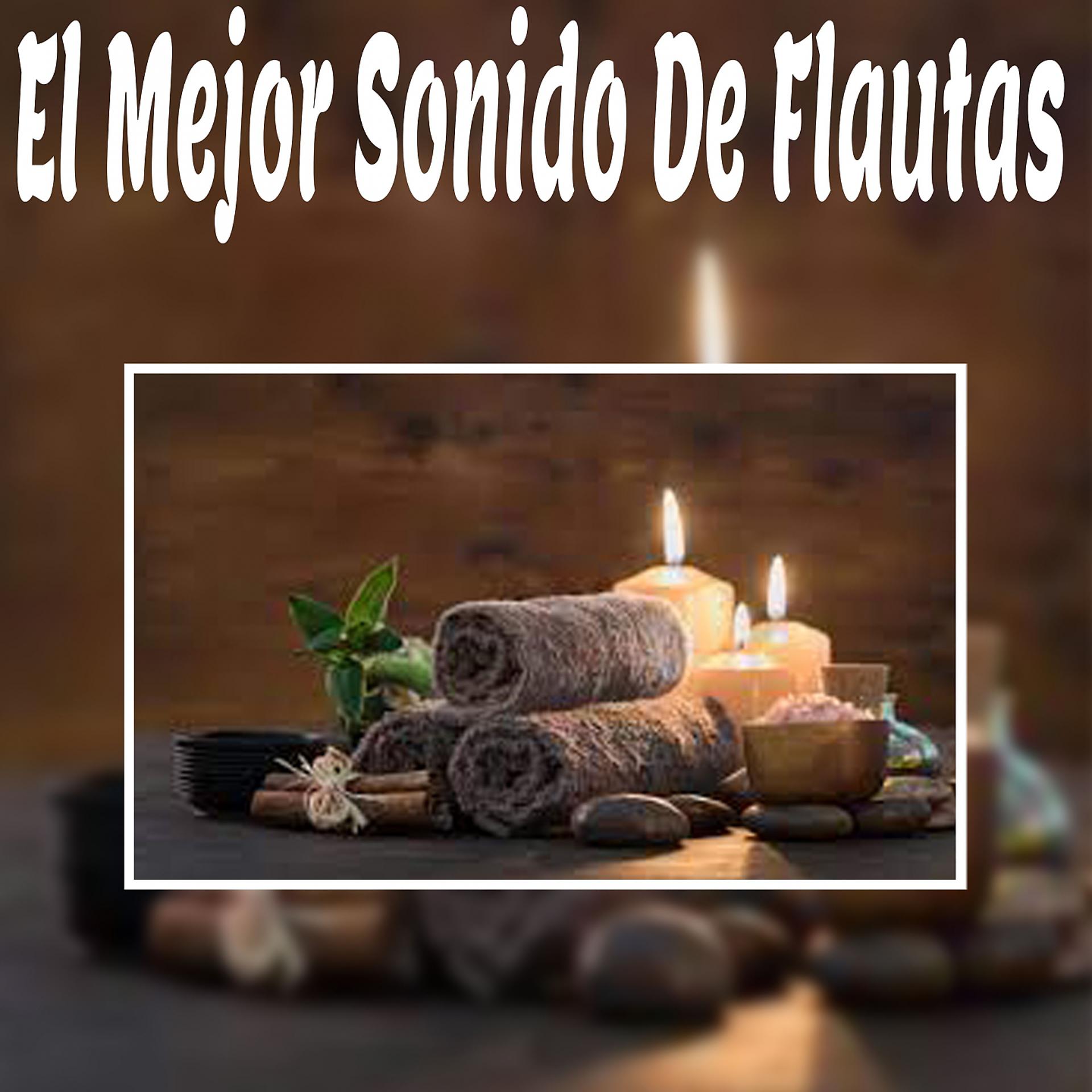Постер альбома El Mejor Sonido de Flautas