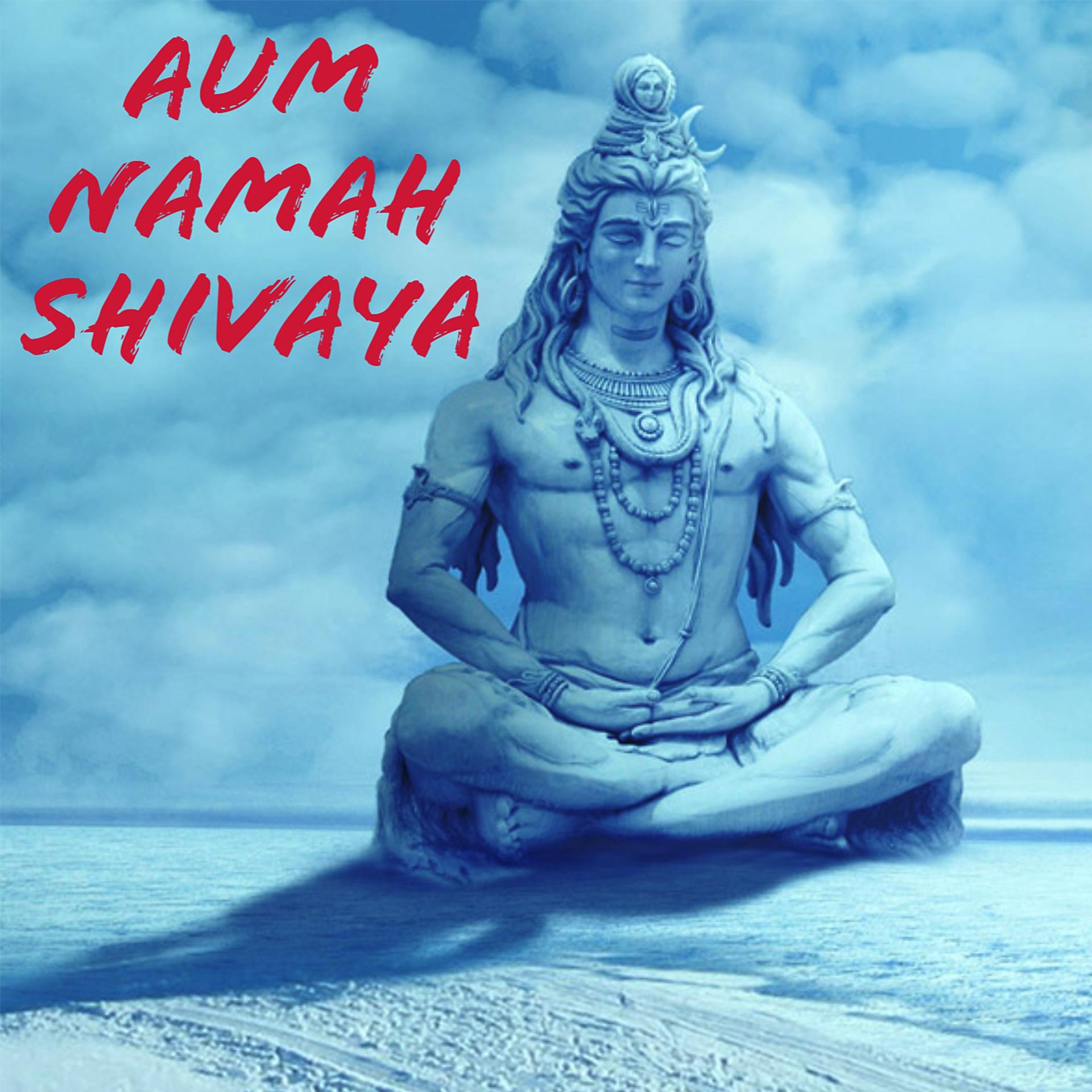 Постер альбома Aum Namah Shivaya