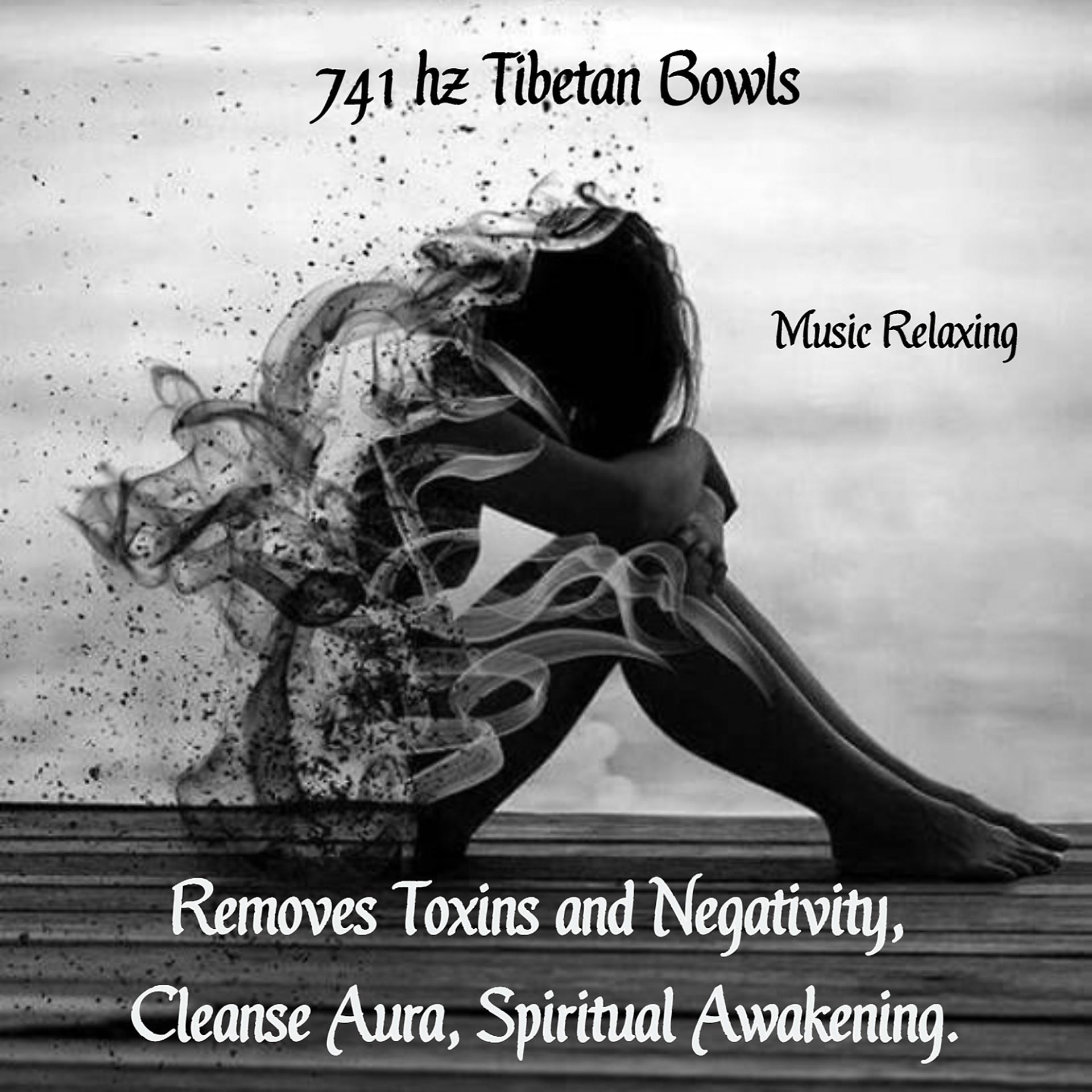 Постер альбома Musica Relajante 741 Hz (2 Hours) Removes Toxins and Negativity, Cleanse Aura, Spiritual Awakening, Tibetan Bowls