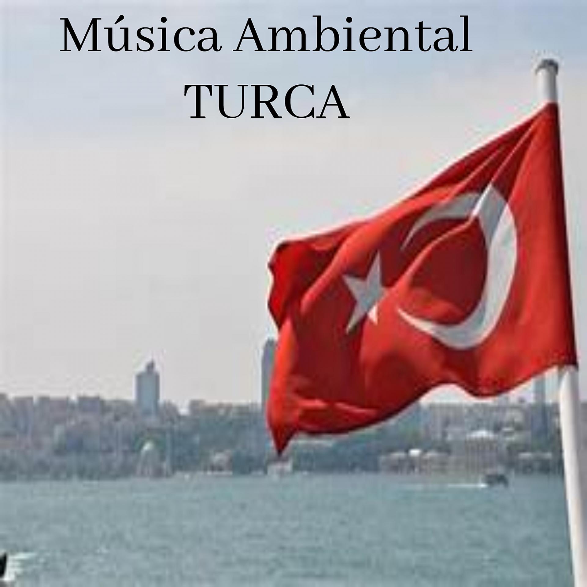 Постер альбома Música Ambiental TURCA