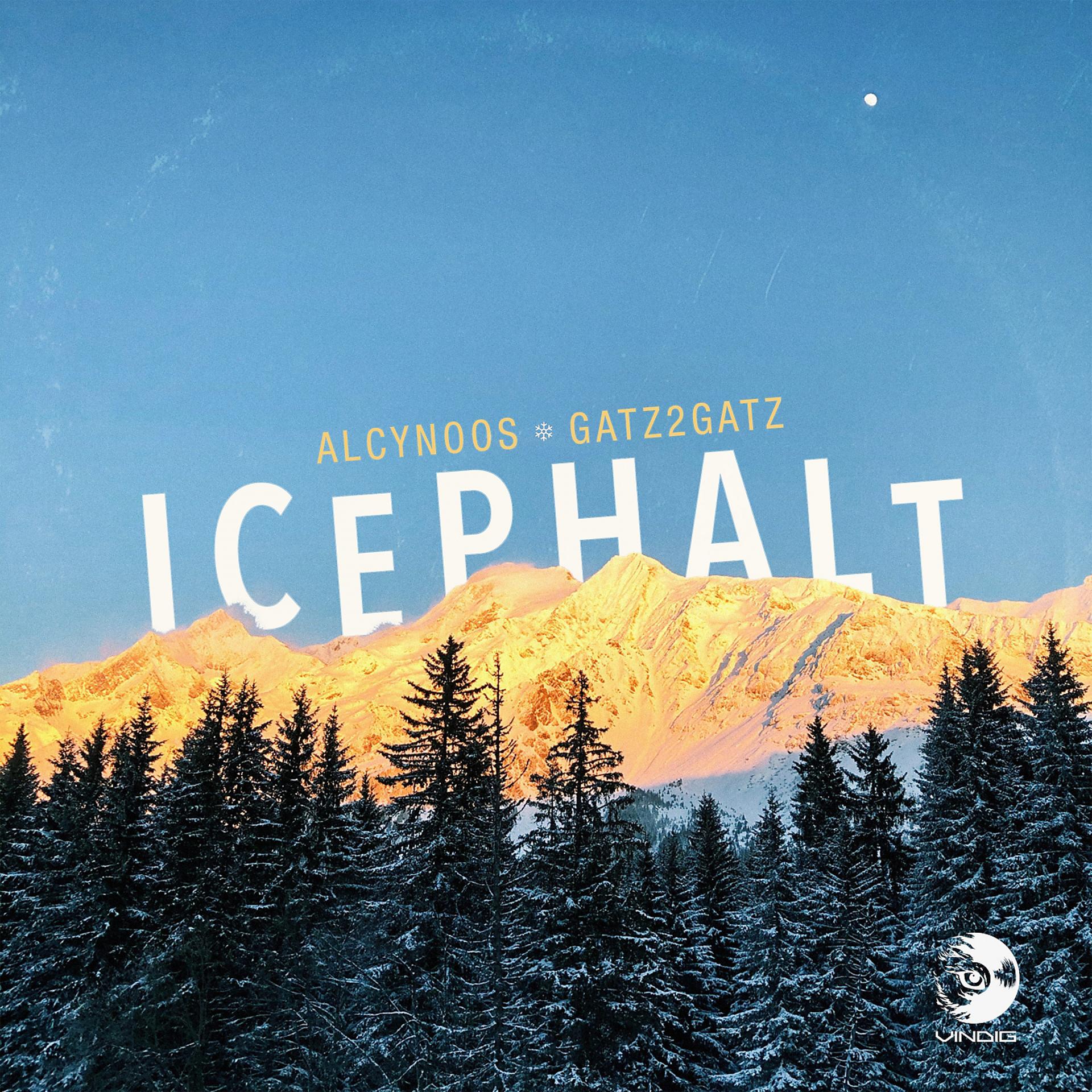 Постер альбома Icephalt