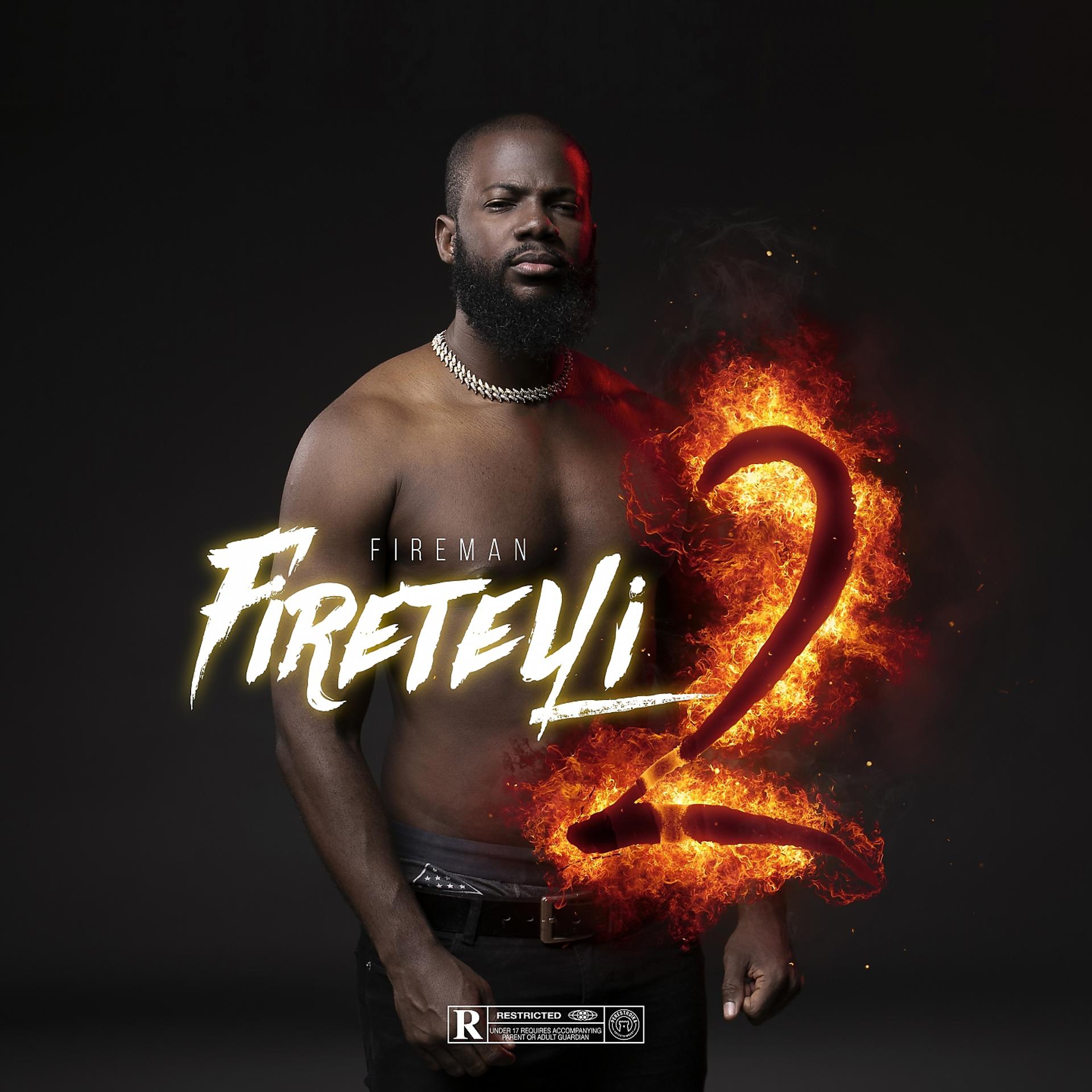 Постер альбома Firetelli 2