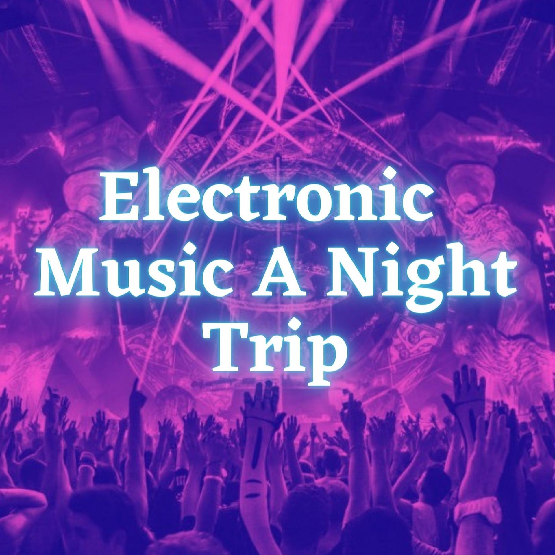 Постер альбома Electronic Music A Night Trip