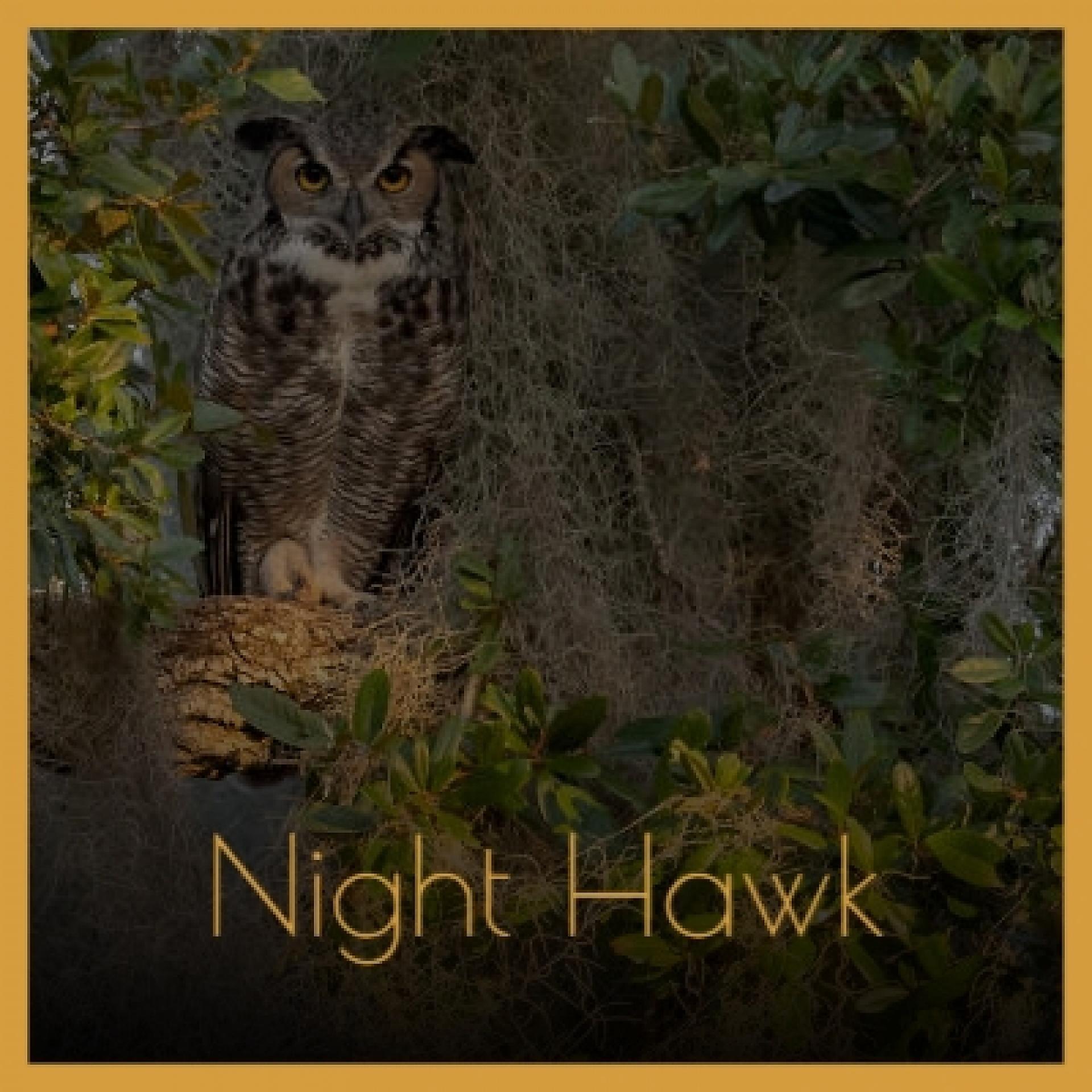 Постер альбома Night Hawk