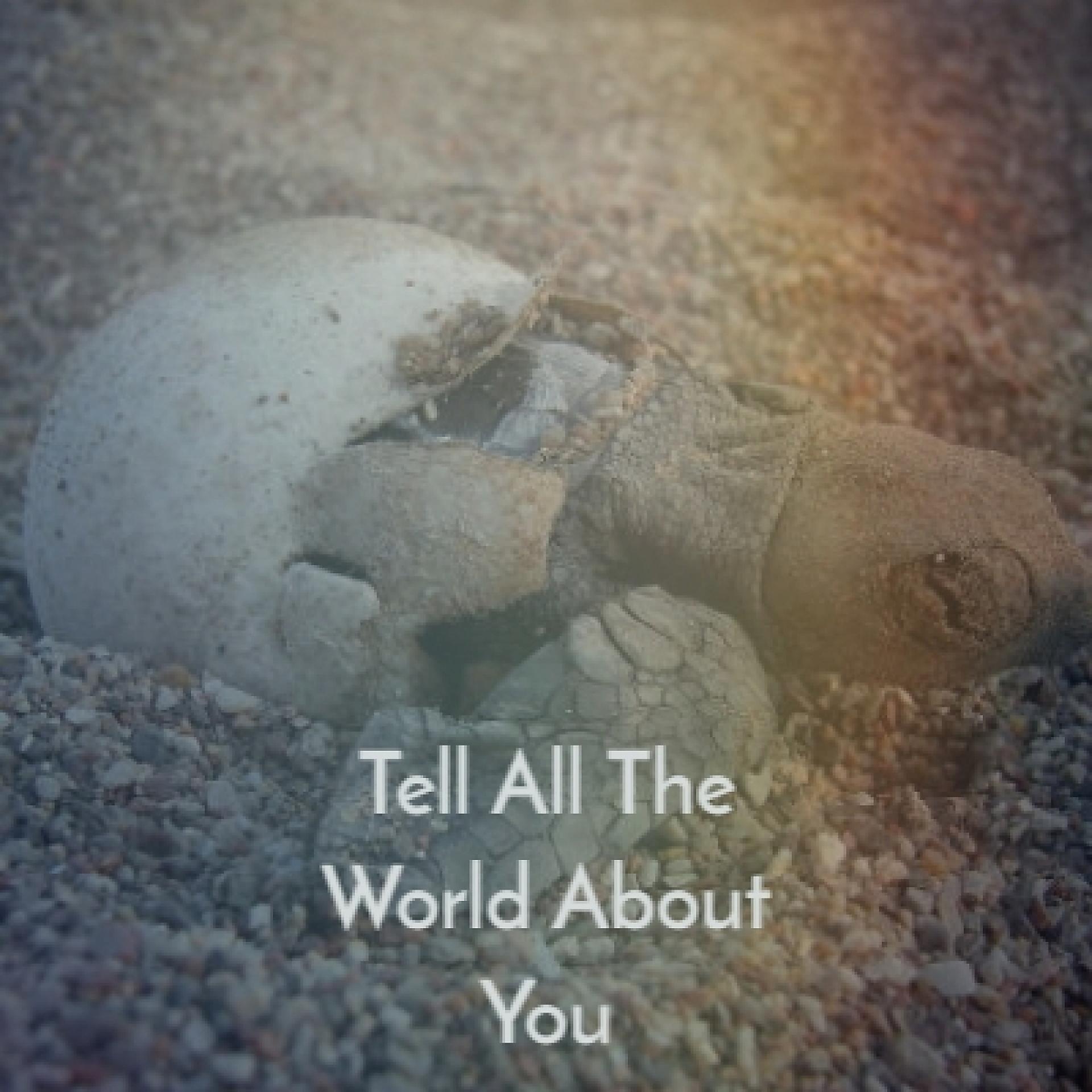 Постер альбома Tell All the World About You
