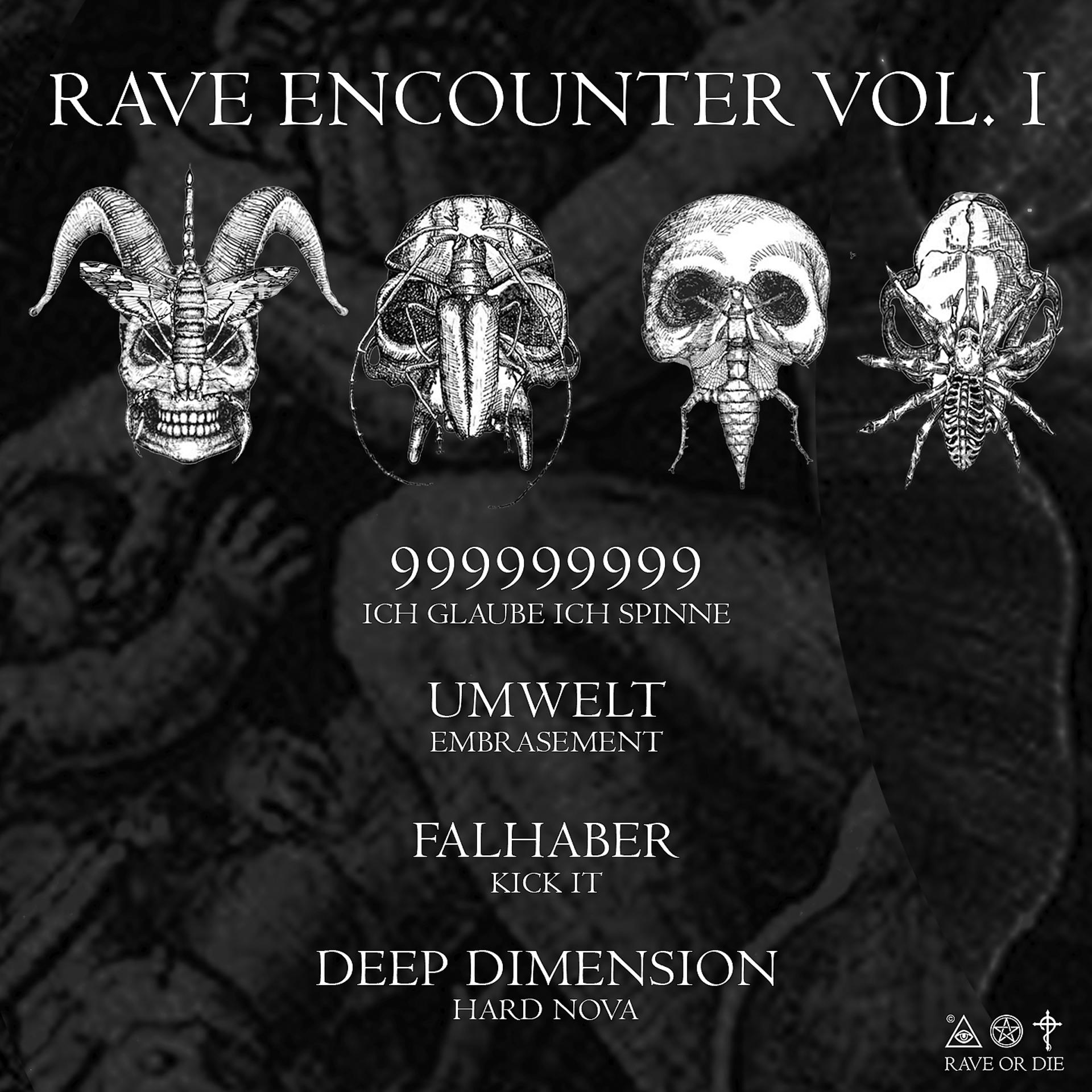 Постер альбома Rave encounter, Vol. 1