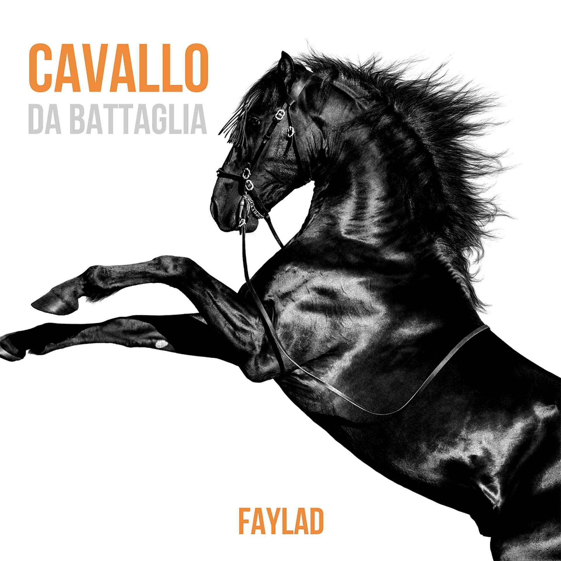 Постер альбома Cavallo da battaglia