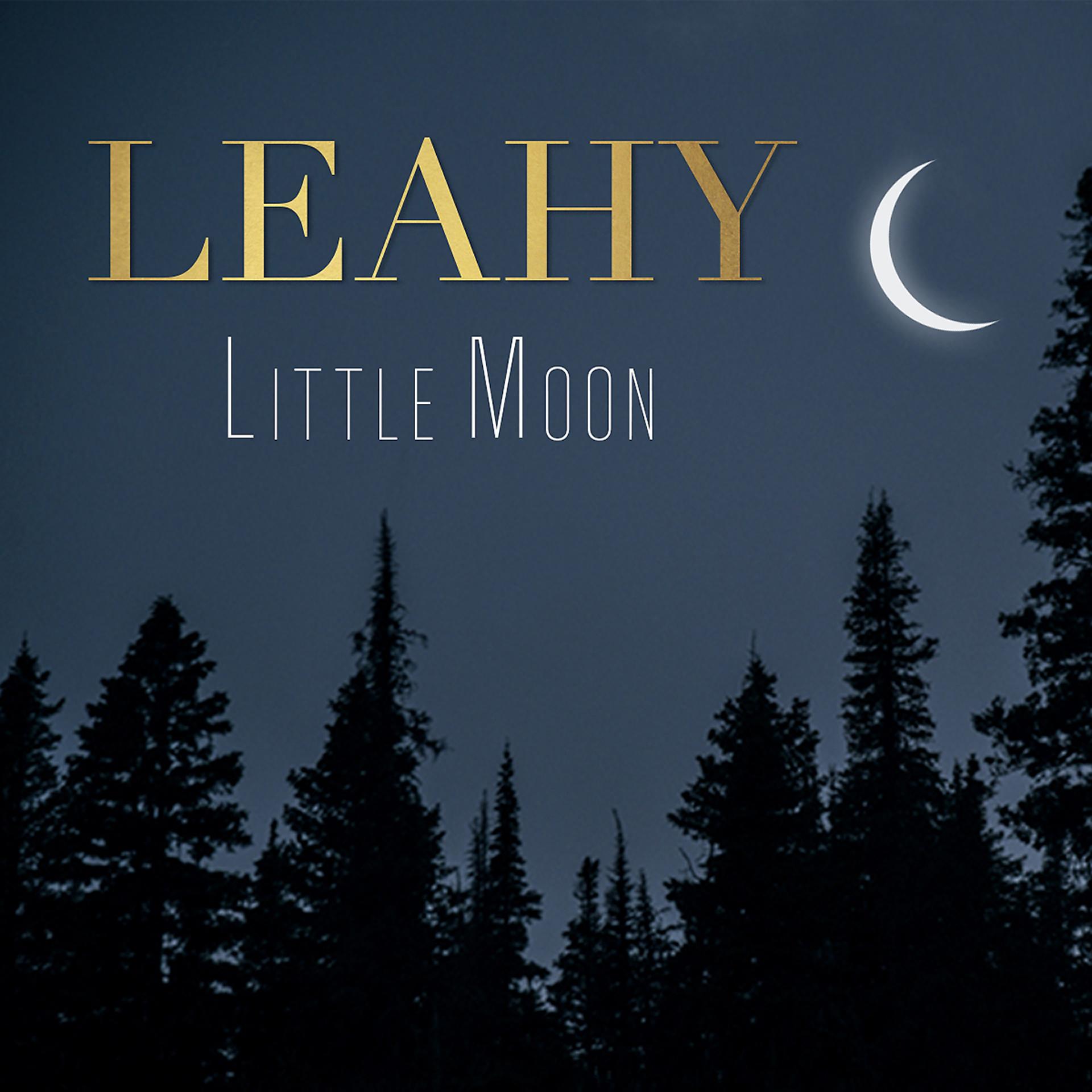 Постер альбома Little Moon