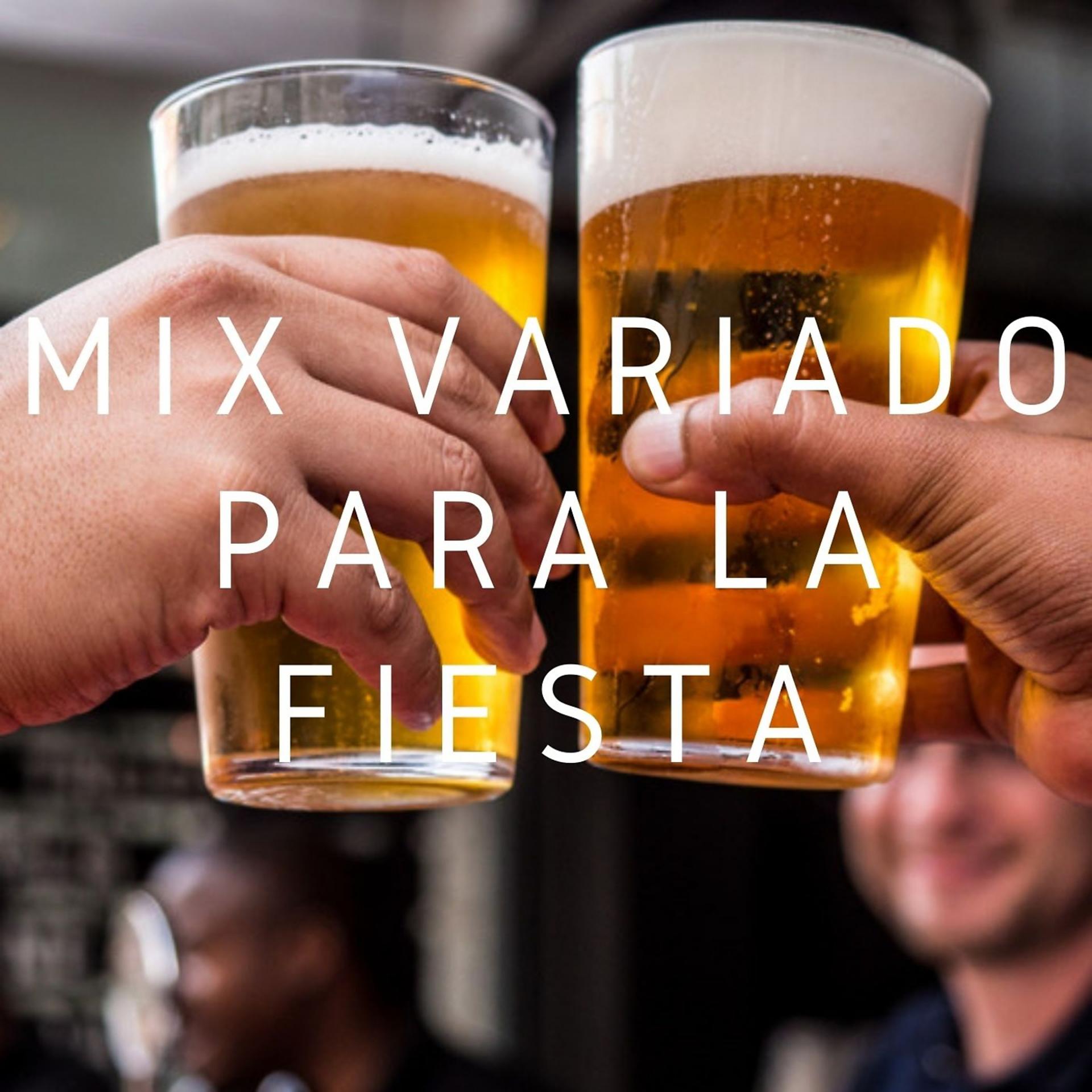 Постер альбома Mix Variado para la Fiesta